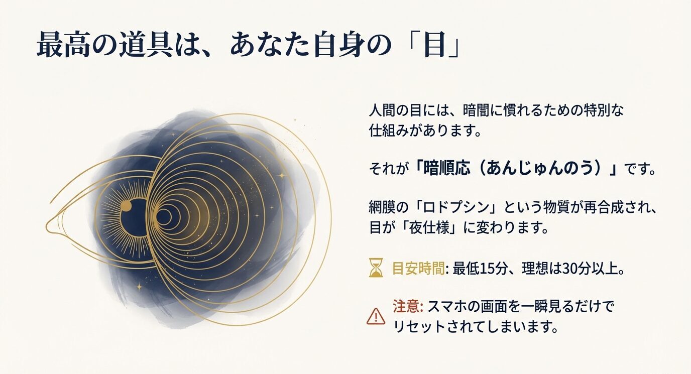 目のイラストとともに、暗順応（ロドプシン再合成）・目安時間（最低15分、理想30分以上）・スマホの光でリセット注意を示すスライド。