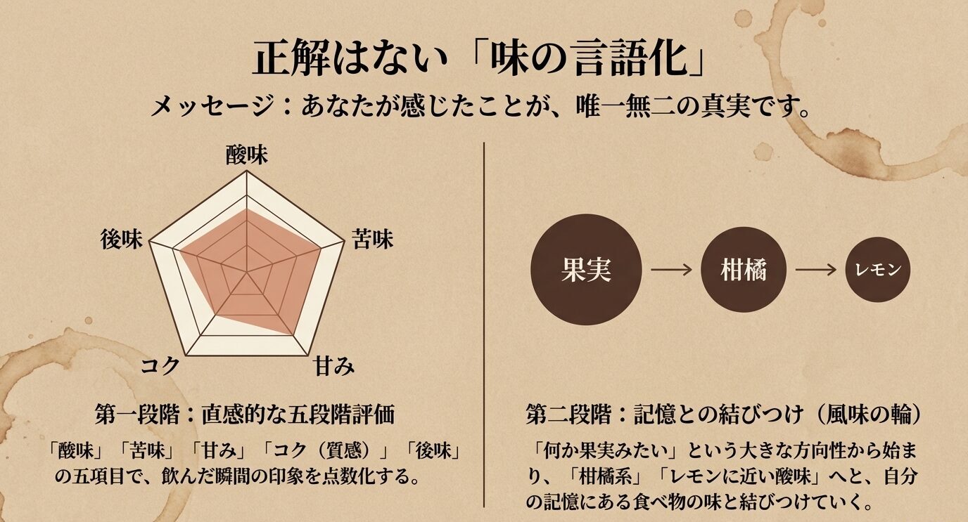 酸味・苦味・甘み・コク・後味の五角形評価と、果実から柑橘、レモンへと味を絞り込む表現例を示した図