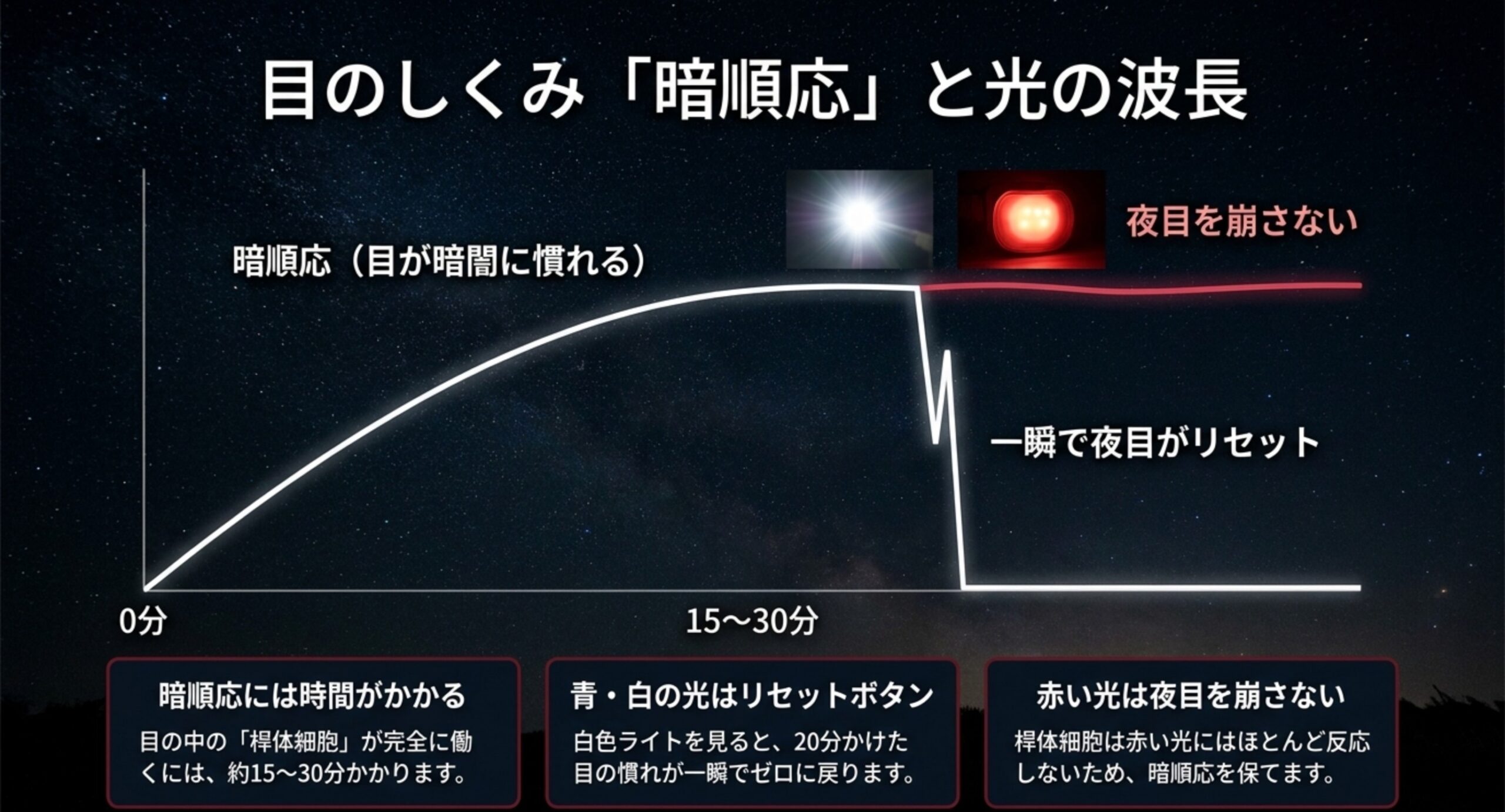 暗順応にかかる時間と、白い光でリセットされ赤い光では夜目が崩れにくいことをグラフで示したスライド