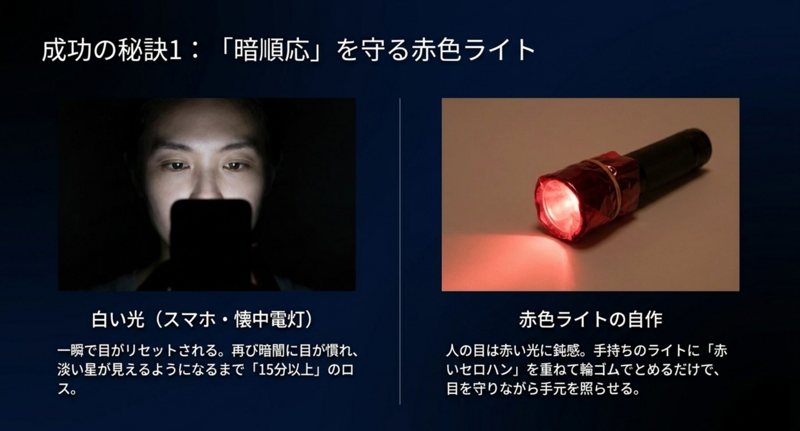 白い光と赤色ライトの違いを示した暗順応対策の写真