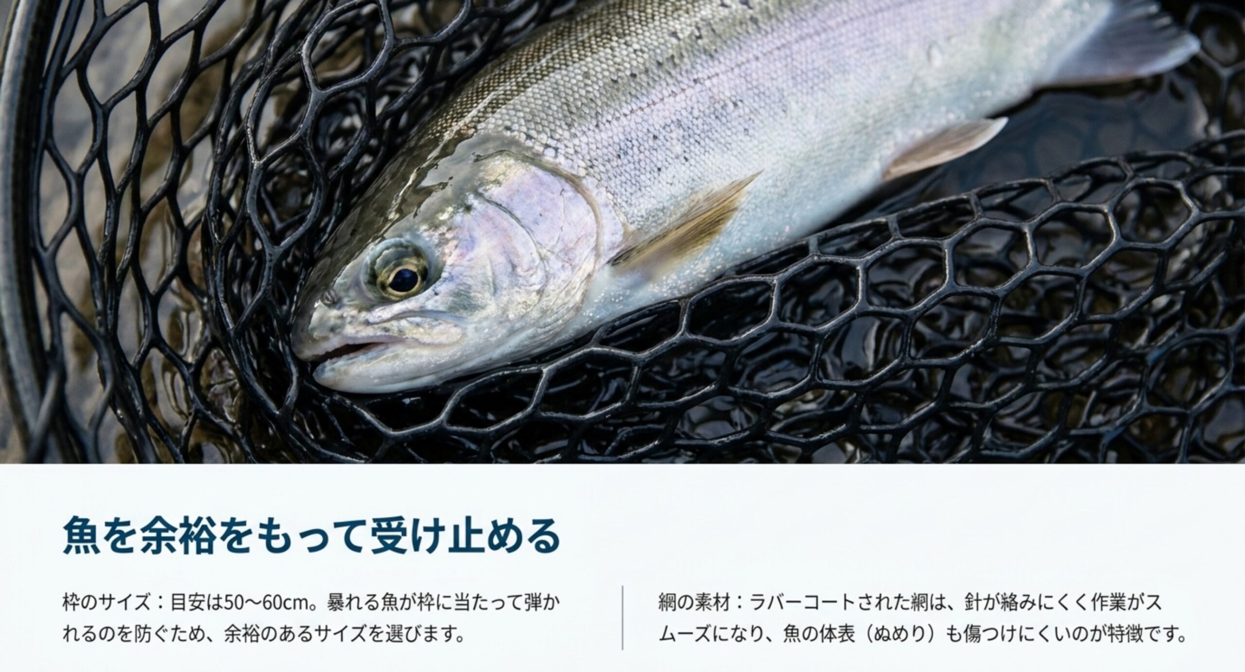 ラバーコートの網に収まった魚と、枠は50から60cmが目安であることを示した図