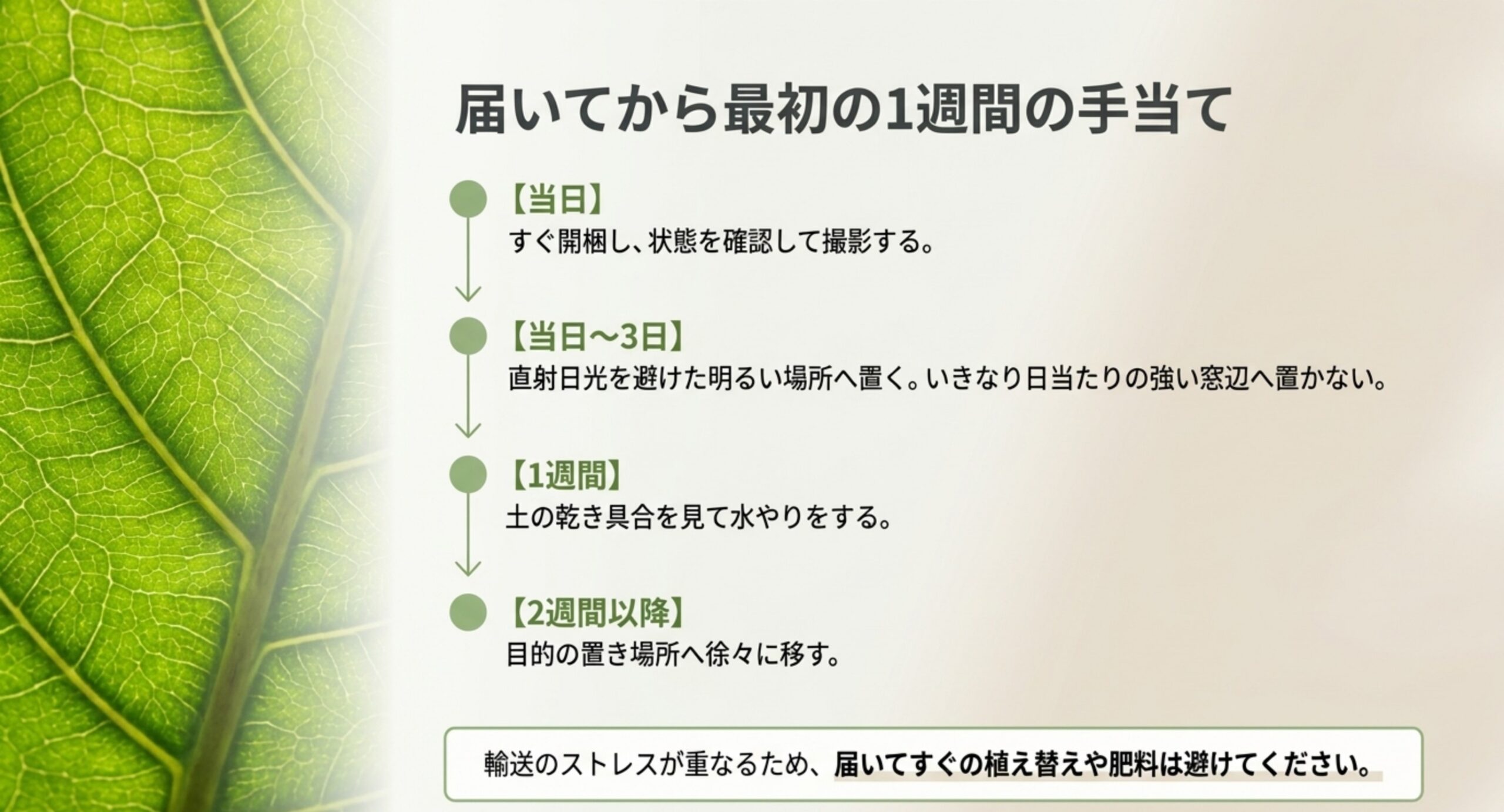 届いた当日の開梱から2週間以降の置き場所の移動まで、時系列で手順を示したスライド