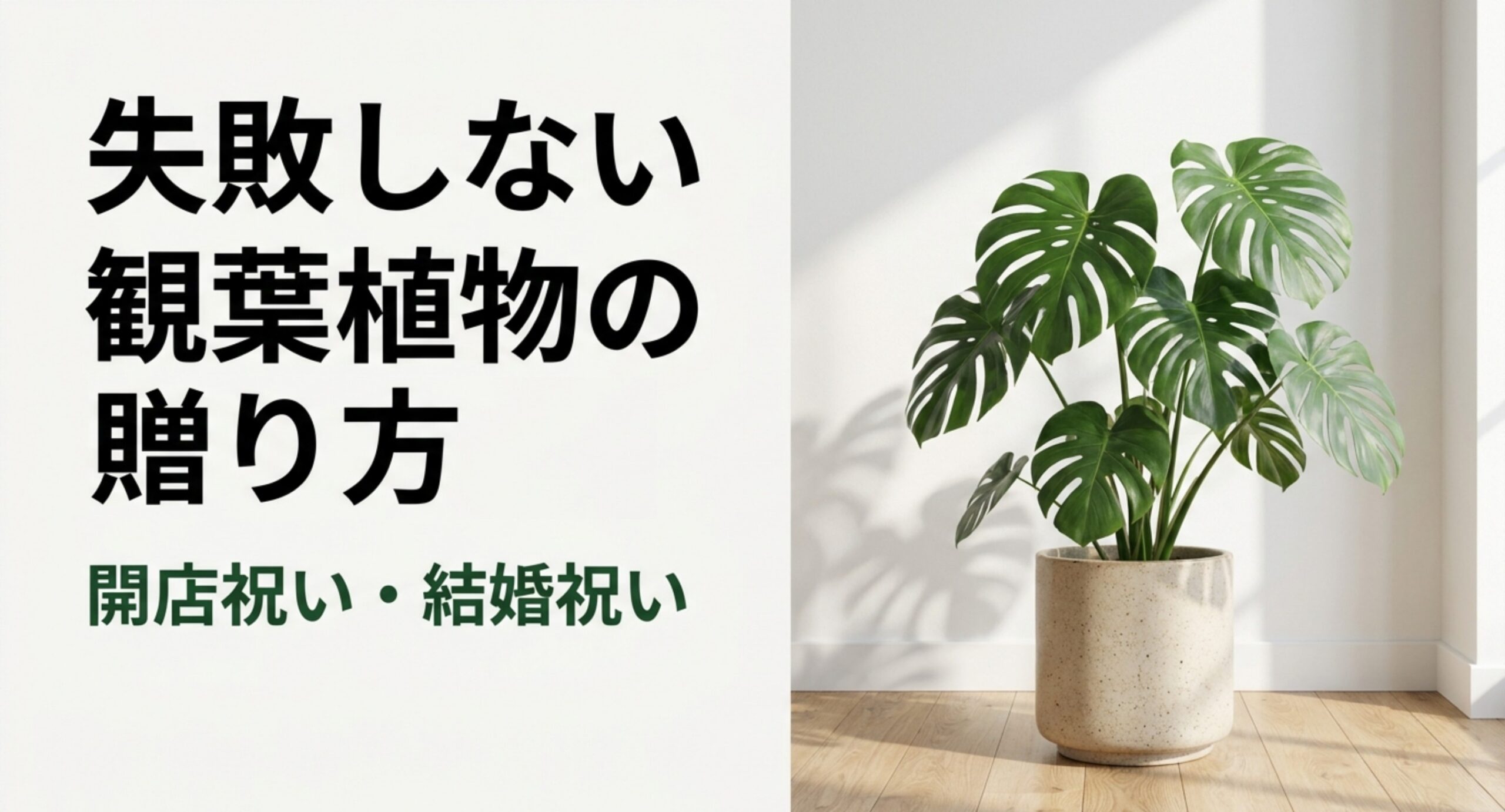 プレゼント用観葉植物のおすすめ|開店祝いと結婚祝いの相場とマナー