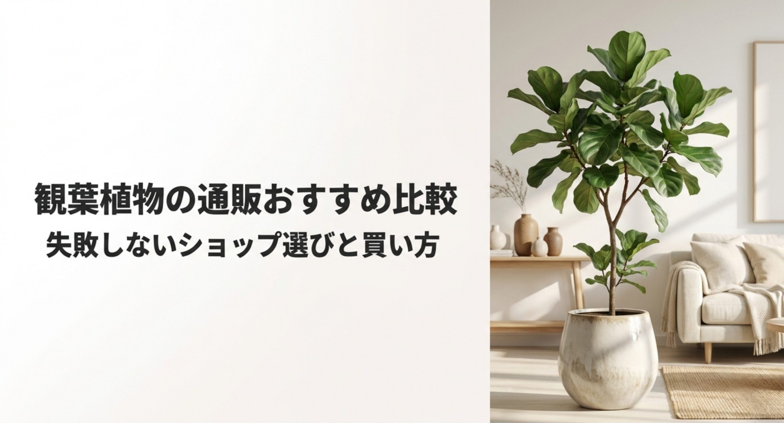 観葉植物の通販おすすめ比較｜失敗しない選び方とサイズ別の価格目安