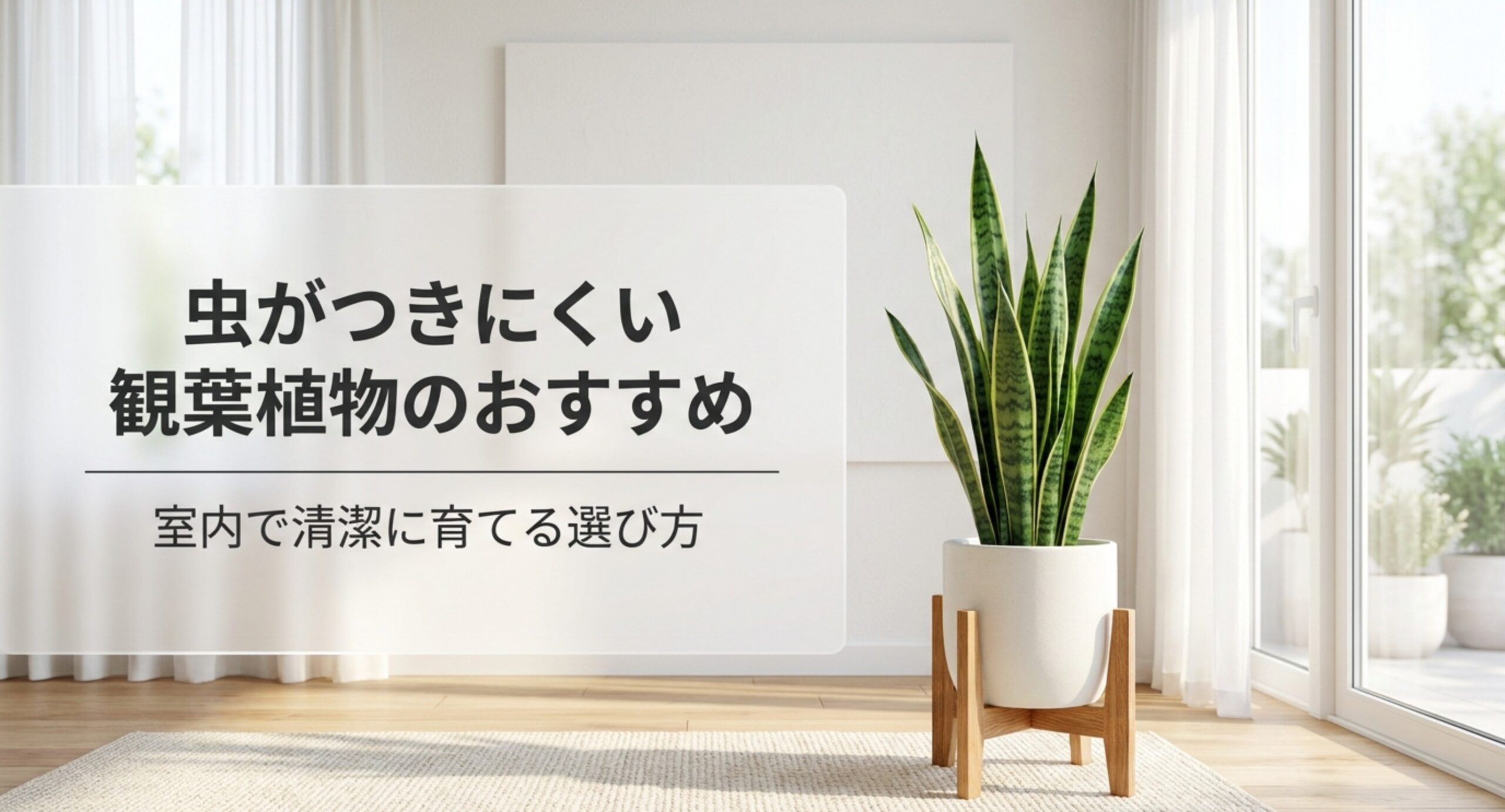 虫がつきにくい観葉植物のおすすめ|無機質用土と風通しで防ぐ室内管理