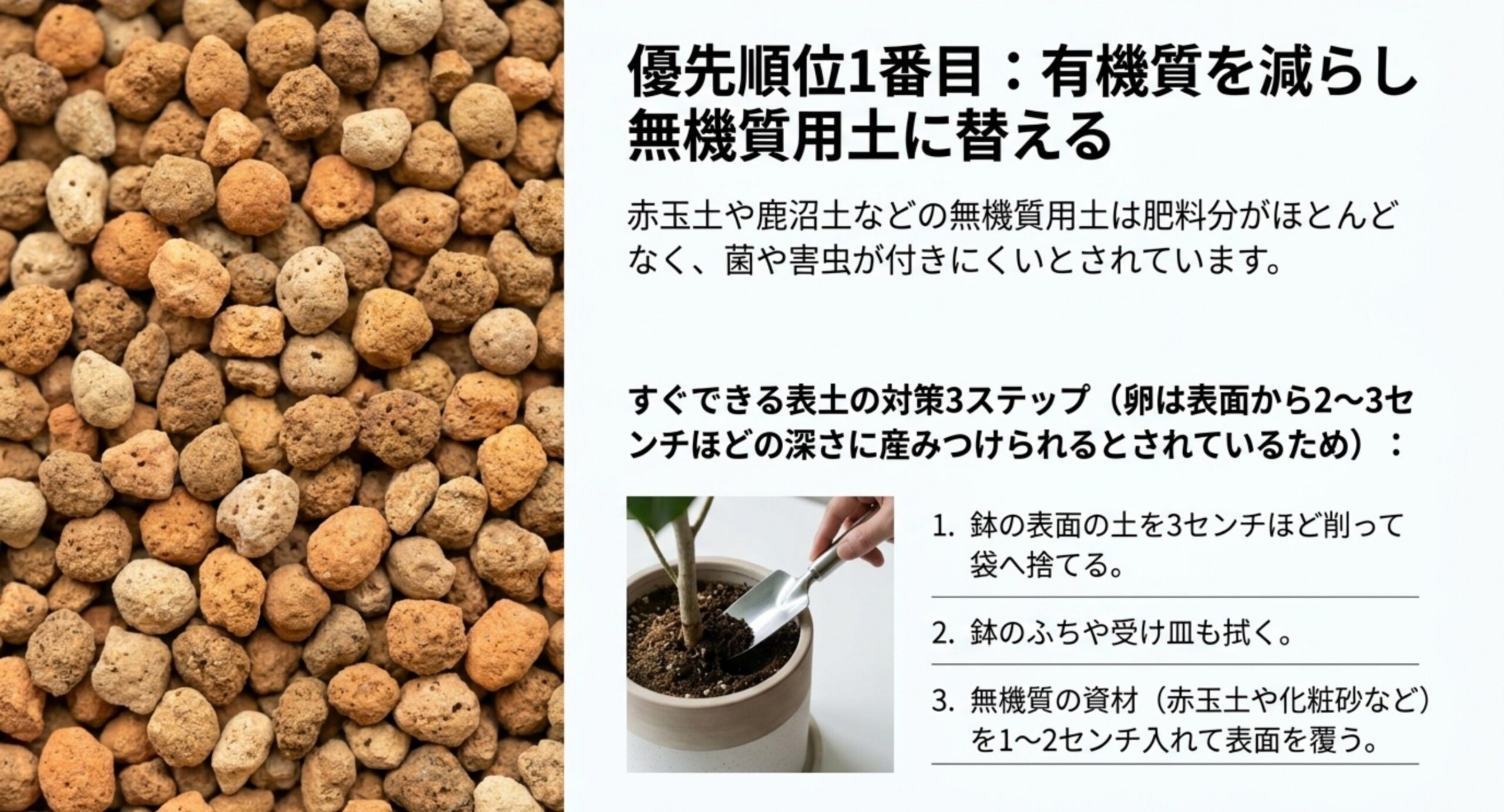赤玉土の粒の写真とともに、無機質用土は肥料分が少なく菌や害虫が付きにくいこと、表土を3センチ削って無機質の資材で覆う3つの手順をまとめたスライド