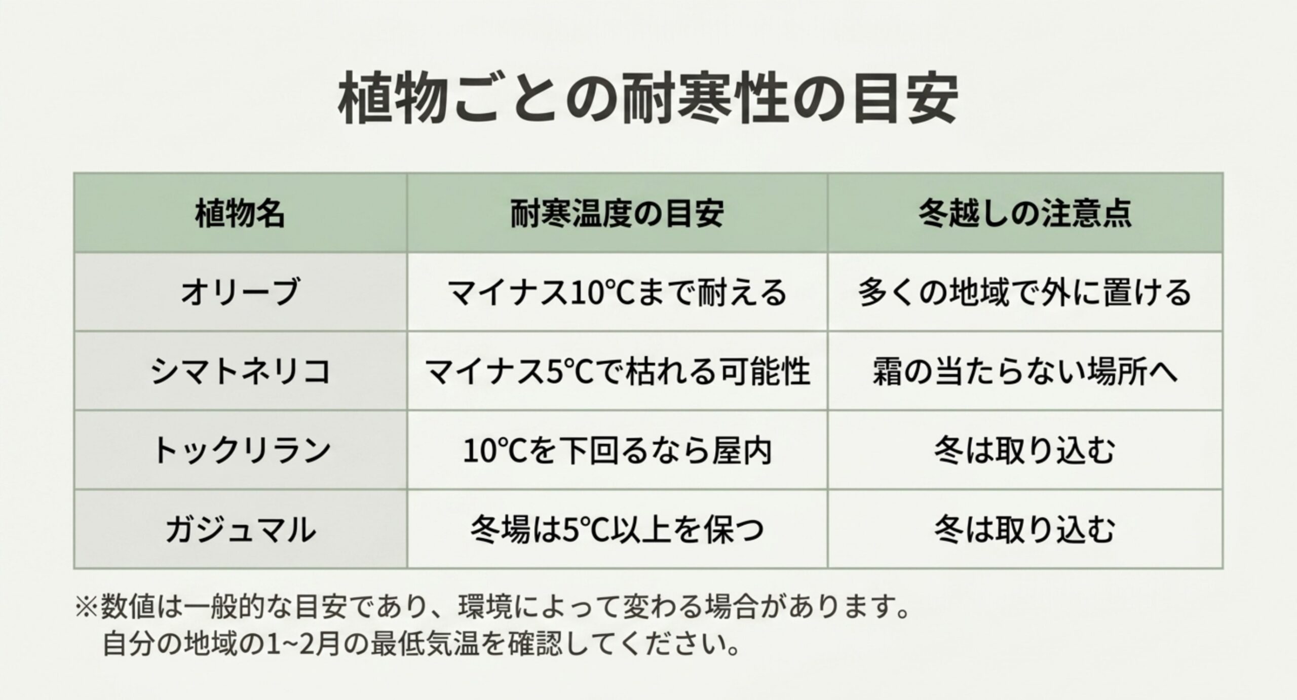 オリーブ・シマトネリコ・トックリラン・ガジュマルの耐寒温度の目安と冬越しの注意点を比較した表のスライド