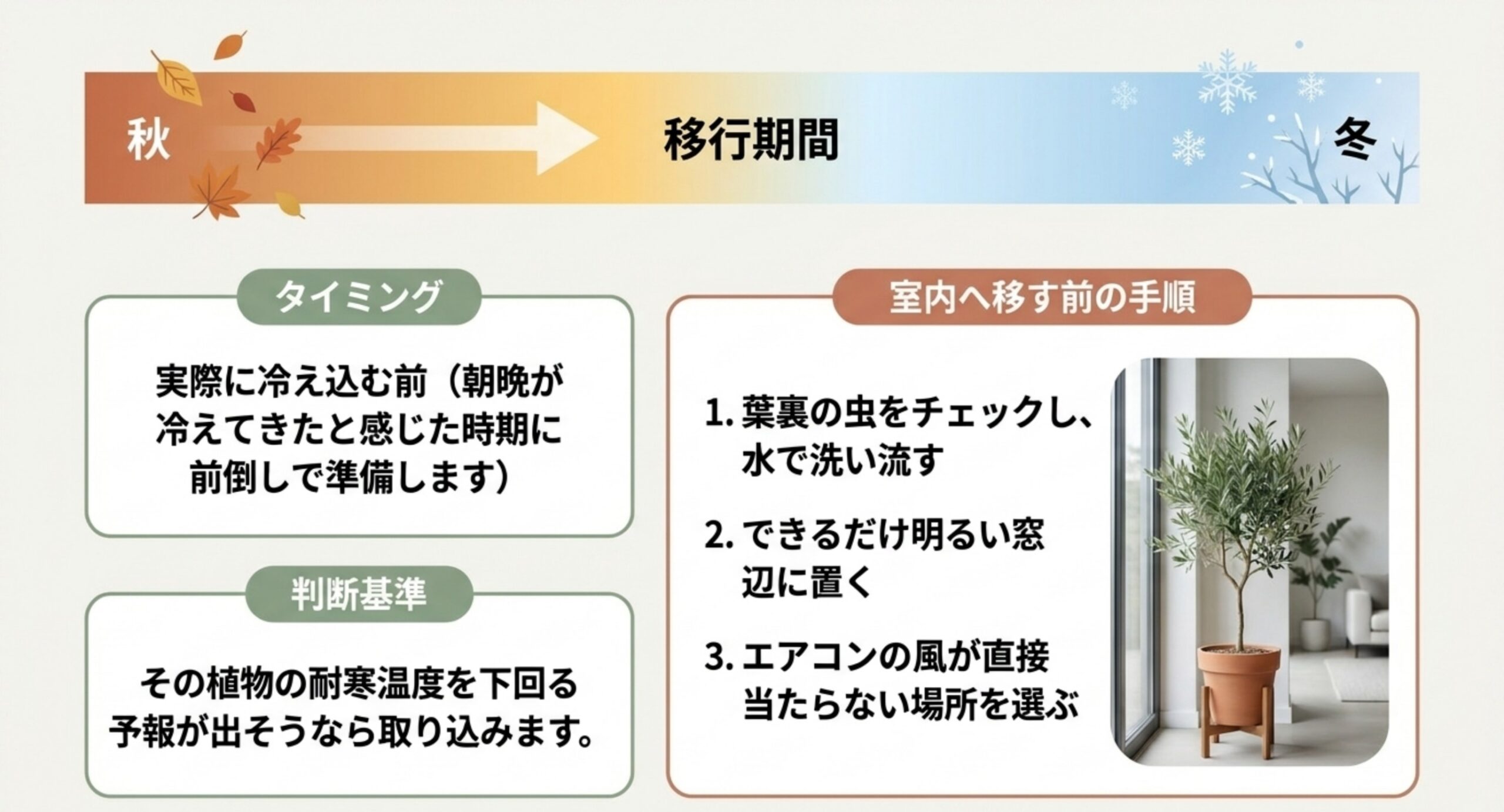 秋から冬にかけて観葉植物を室内へ取り込むタイミングの判断基準と、葉裏の虫の確認から置き場所選びまでの手順を示したスライド