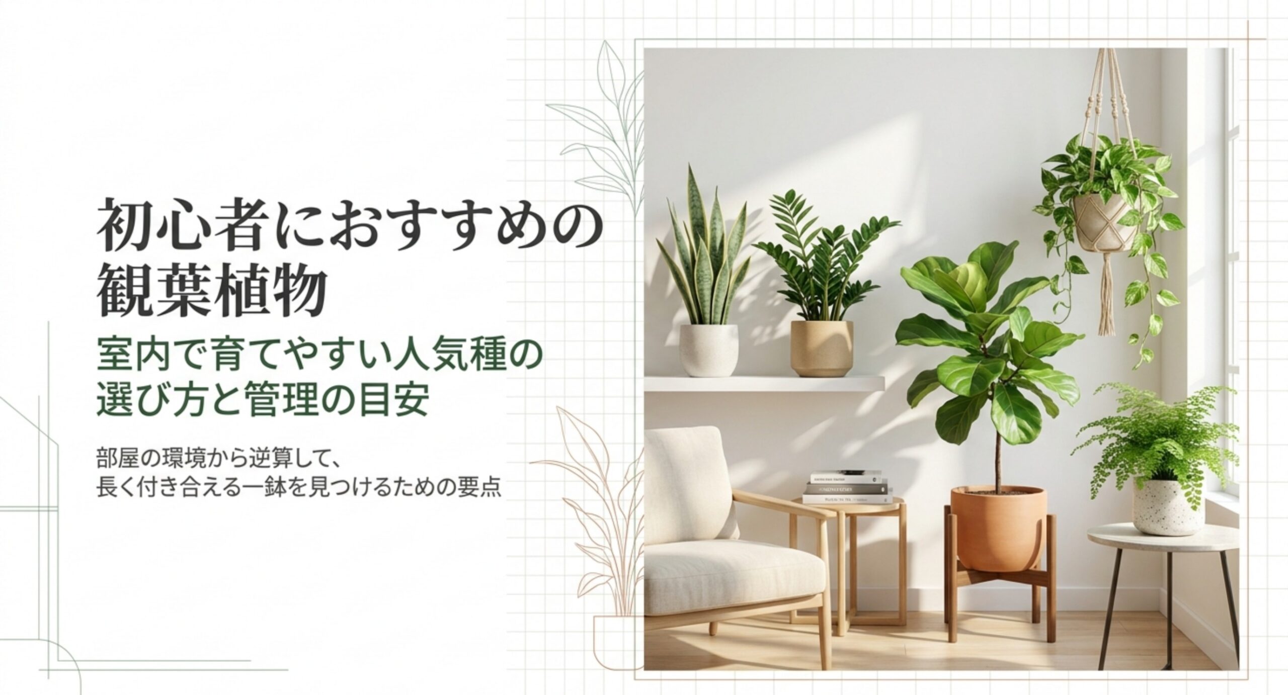 初心者向け観葉植物の選び方｜室内で育てやすい種類と3つの判断軸を解説