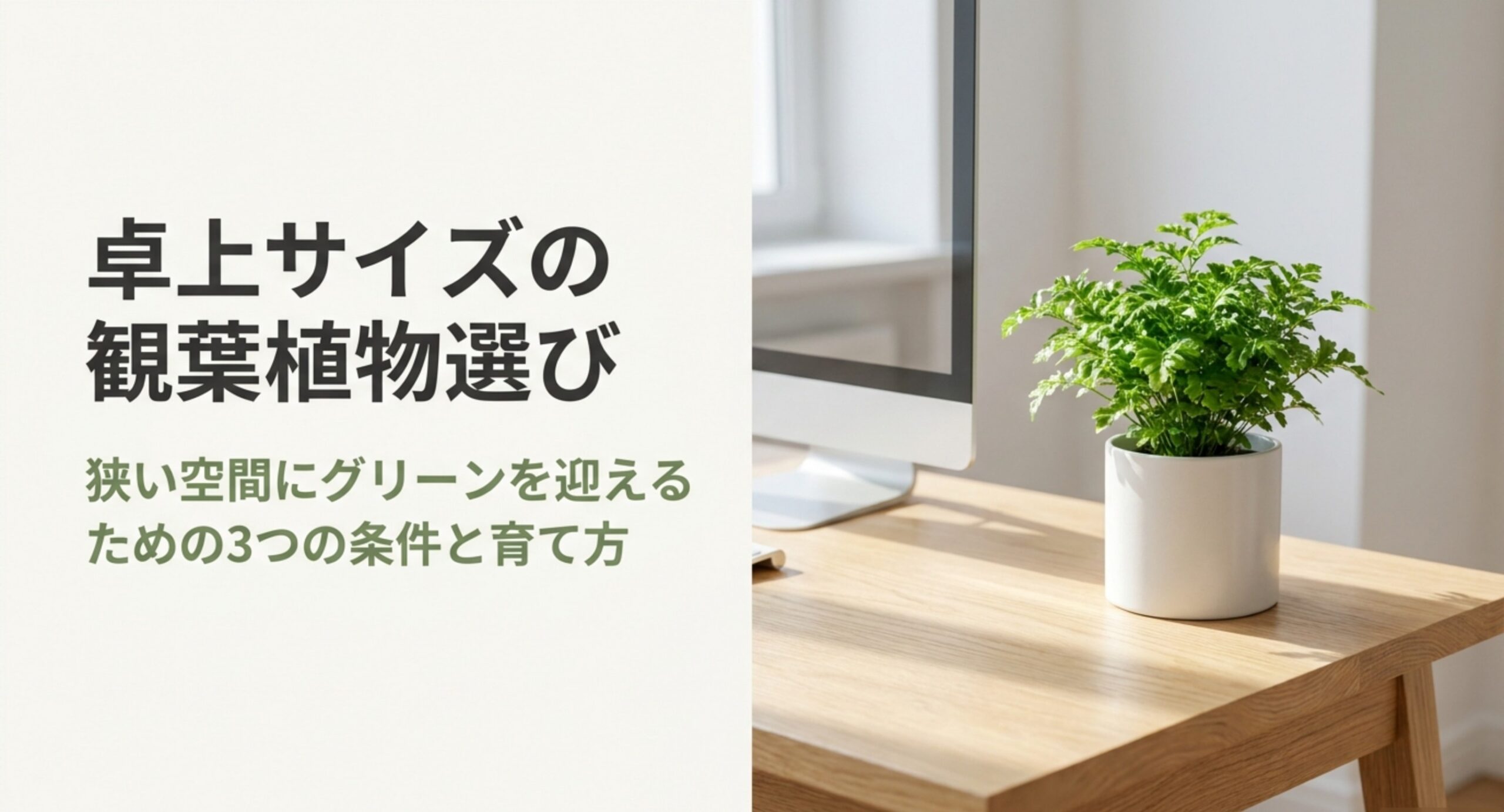 卓上に置く小型観葉植物のおすすめ比較|狭い場所での選び方と育て方