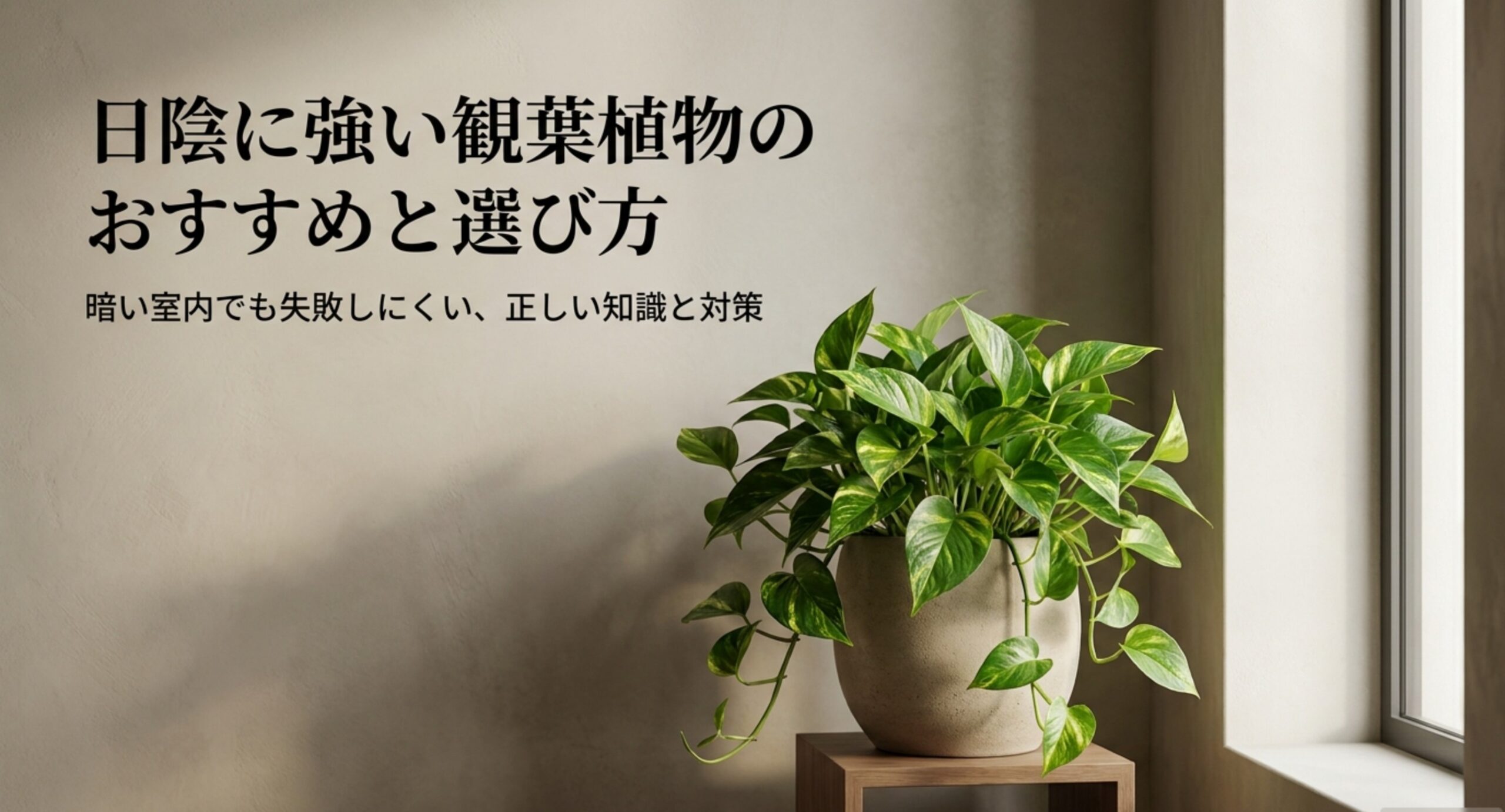 日陰に強い観葉植物のおすすめ4選|暗い室内での選び方と育成ライトの基準