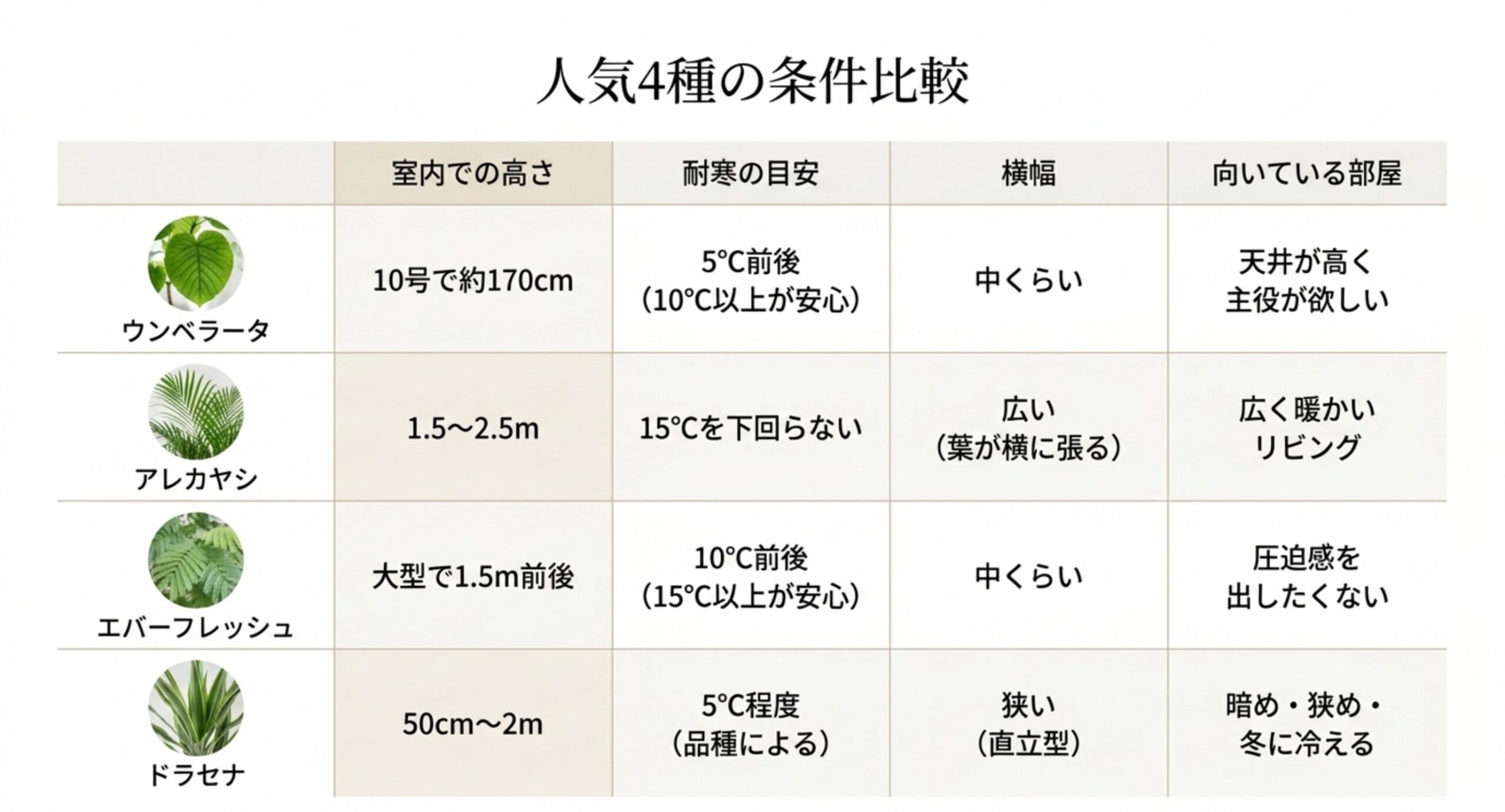 ウンベラータ、アレカヤシ、エバーフレッシュ、ドラセナの高さと耐寒の目安、横幅を比べた表のスライド