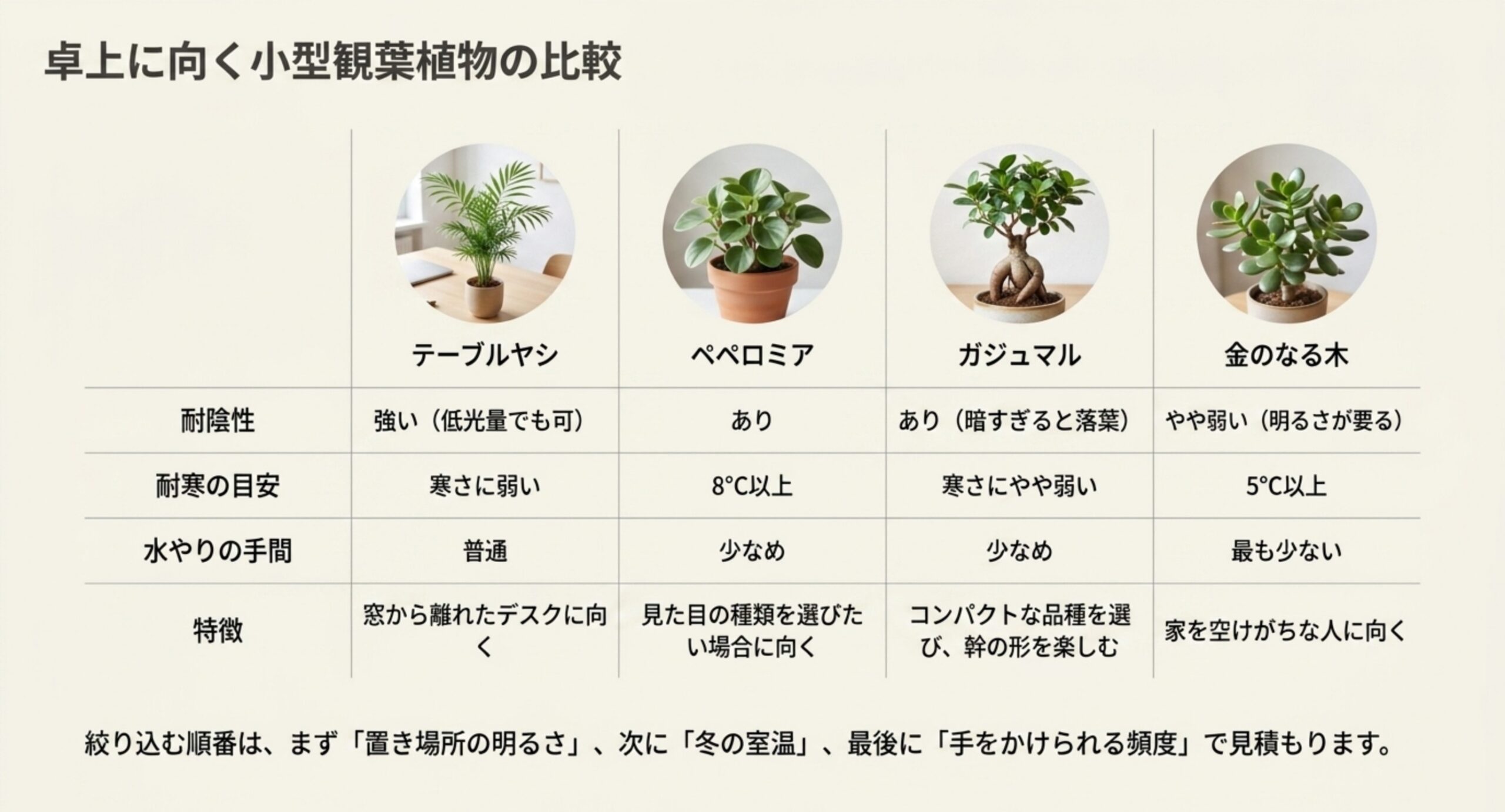 テーブルヤシ、ペペロミア、ガジュマル、金のなる木の耐陰性と耐寒の目安、水やりの手間を比べた表のスライド