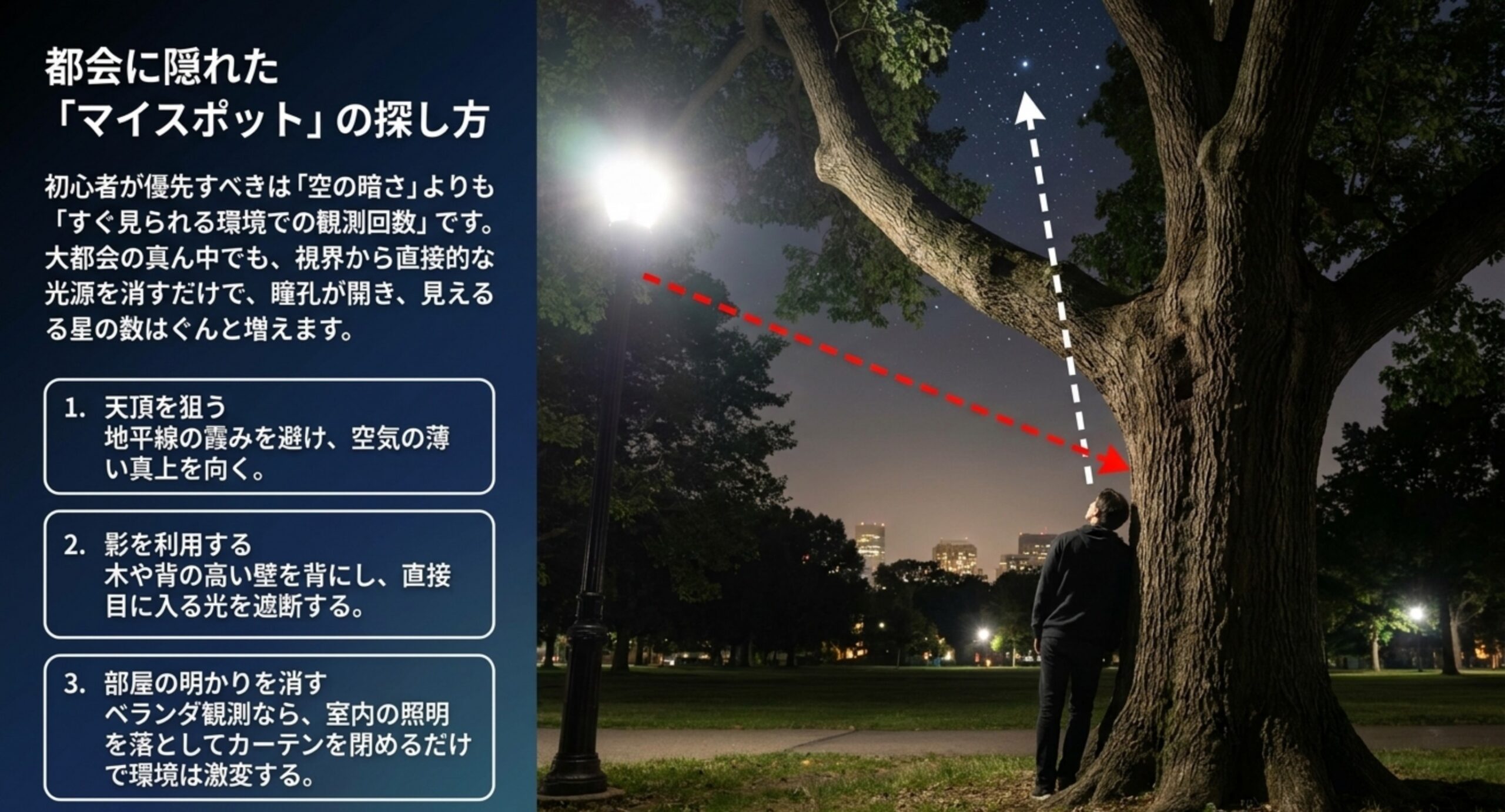 都会でも星が見える観測スポットの探し方 天頂を狙う、木や壁の影で直接の光をさえぎる、室内の照明を落とすという都会で星を見つけやすくする三つの工夫