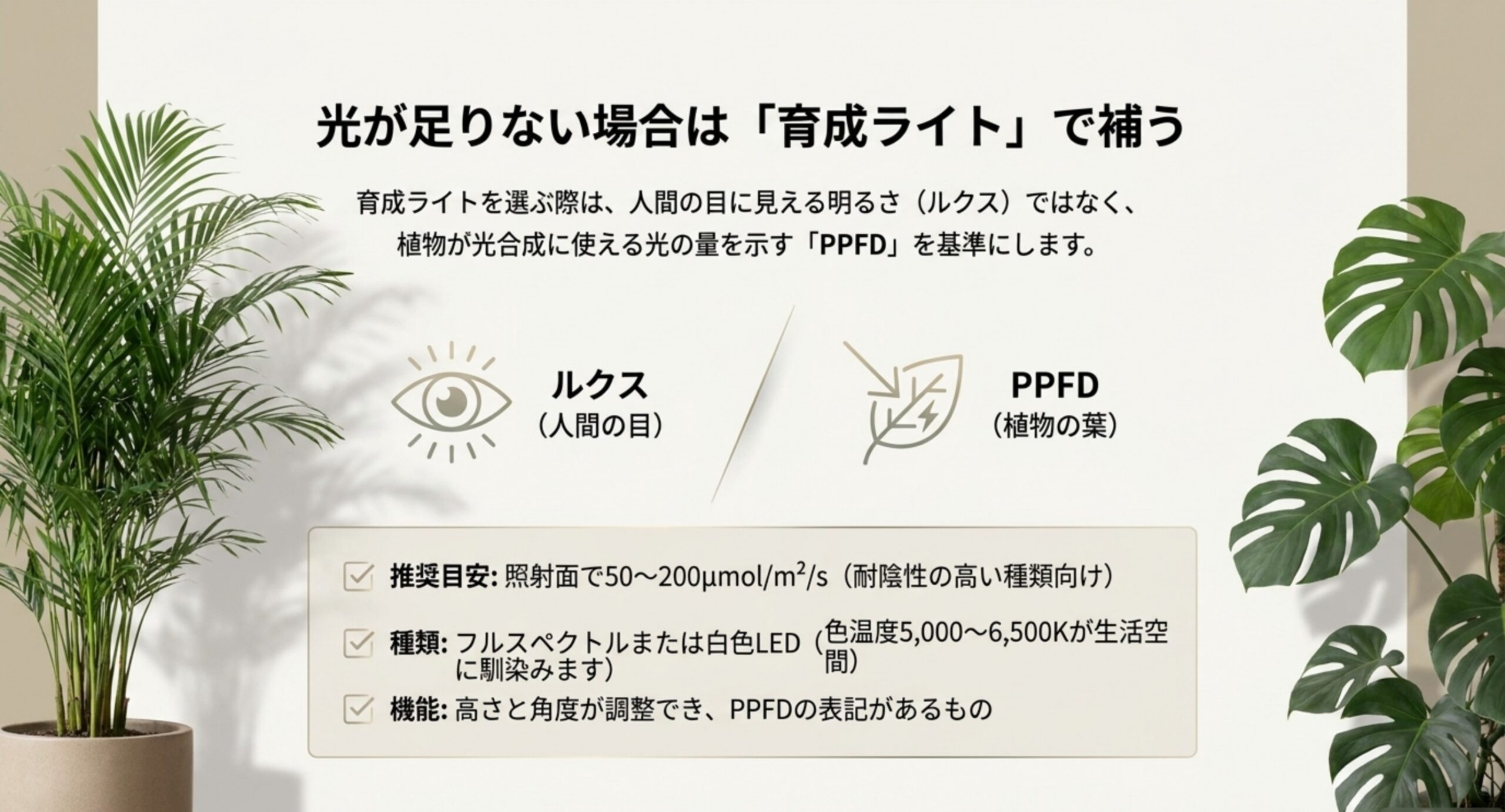 人の目が感じるルクスと植物が使えるPPFDの違いを対比し、推奨目安と選ぶ条件を並べたスライド