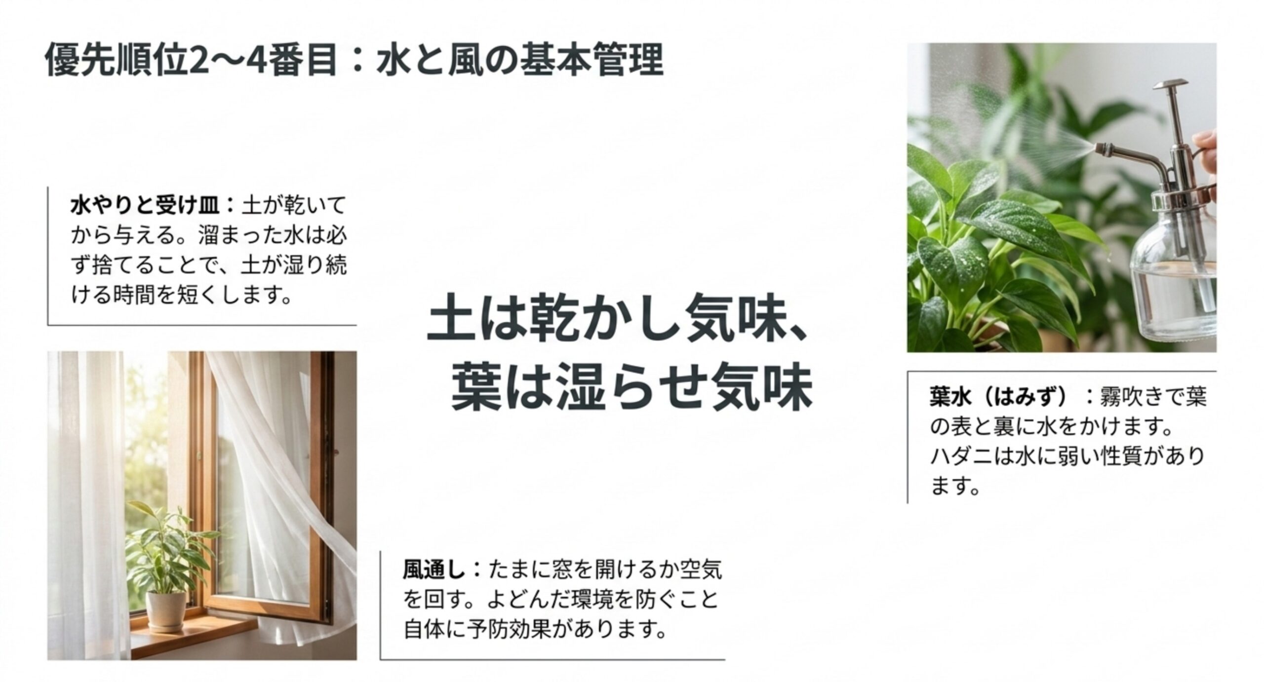 水やりと受け皿の水を捨てること、風通しの確保、霧吹きでの葉水という3つの管理ポイントを写真つきでまとめたスライド