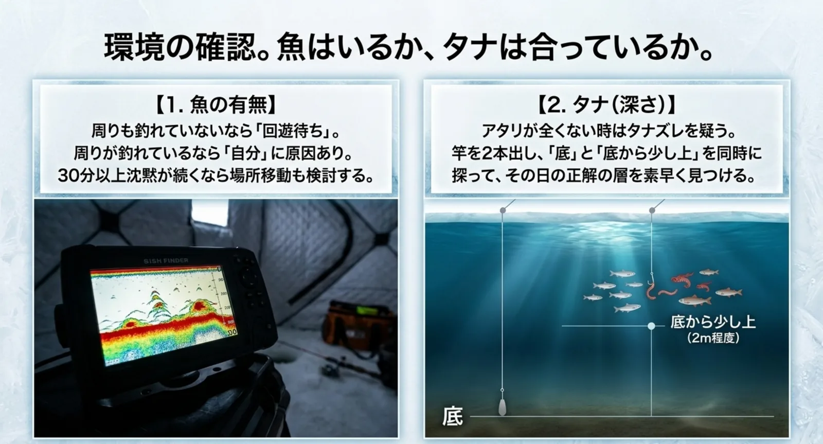 魚群探知機の反応と、竿を2本使って底と底から2m上を同時に探る方法を示した図