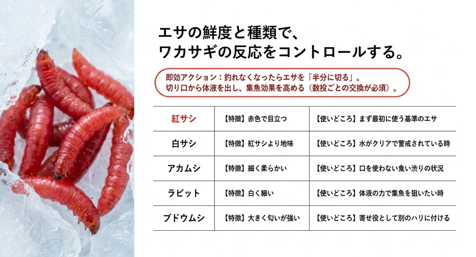 紅サシ・白サシ・アカムシ・ラビット・ブドウムシの特徴と使いどころをまとめた比較表