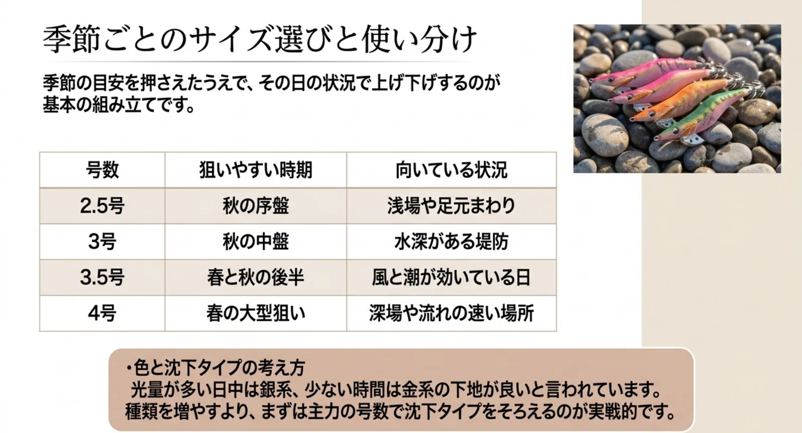 2.5号から4号まで狙いやすい時期と向いている状況を並べた表のスライド