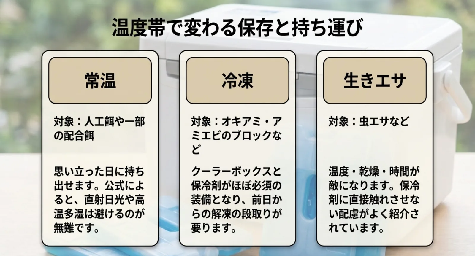 常温と冷凍と生きエサで必要になる装備と扱い方を比べたスライド
