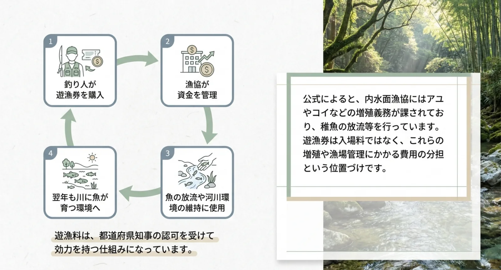 釣り人が遊漁券を買い、漁協が資金を管理し、稚魚の放流や河川環境の維持に使われて翌年の魚につながる循環を示した図解スライド