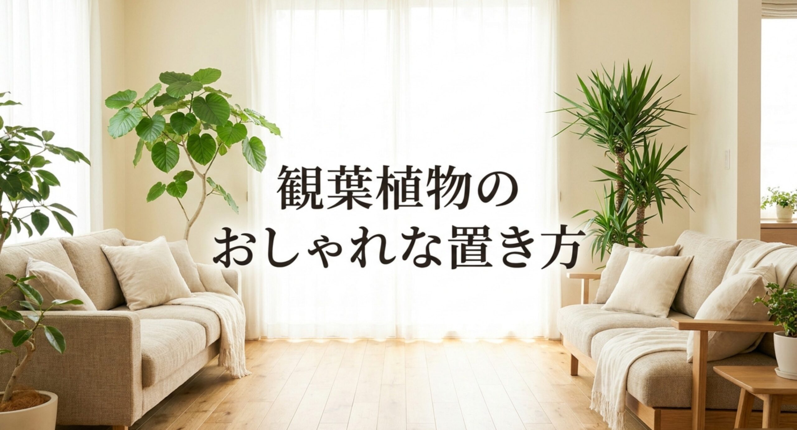 観葉植物のおしゃれな置き方の基本｜配置のコツとスタンド・置き台の選び方