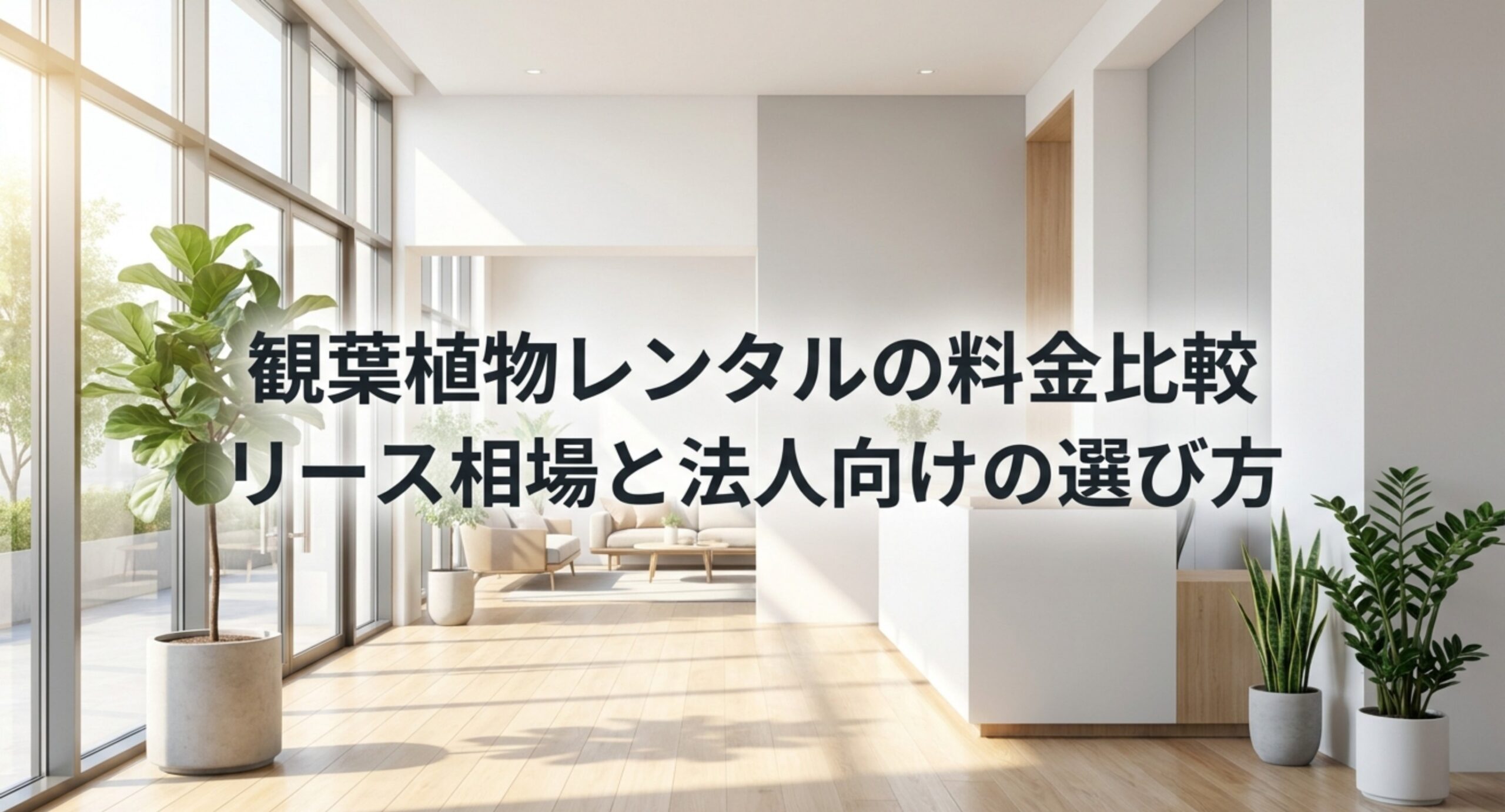観葉植物レンタル料金の相場|法人向けリース費用と比較のポイントを整理