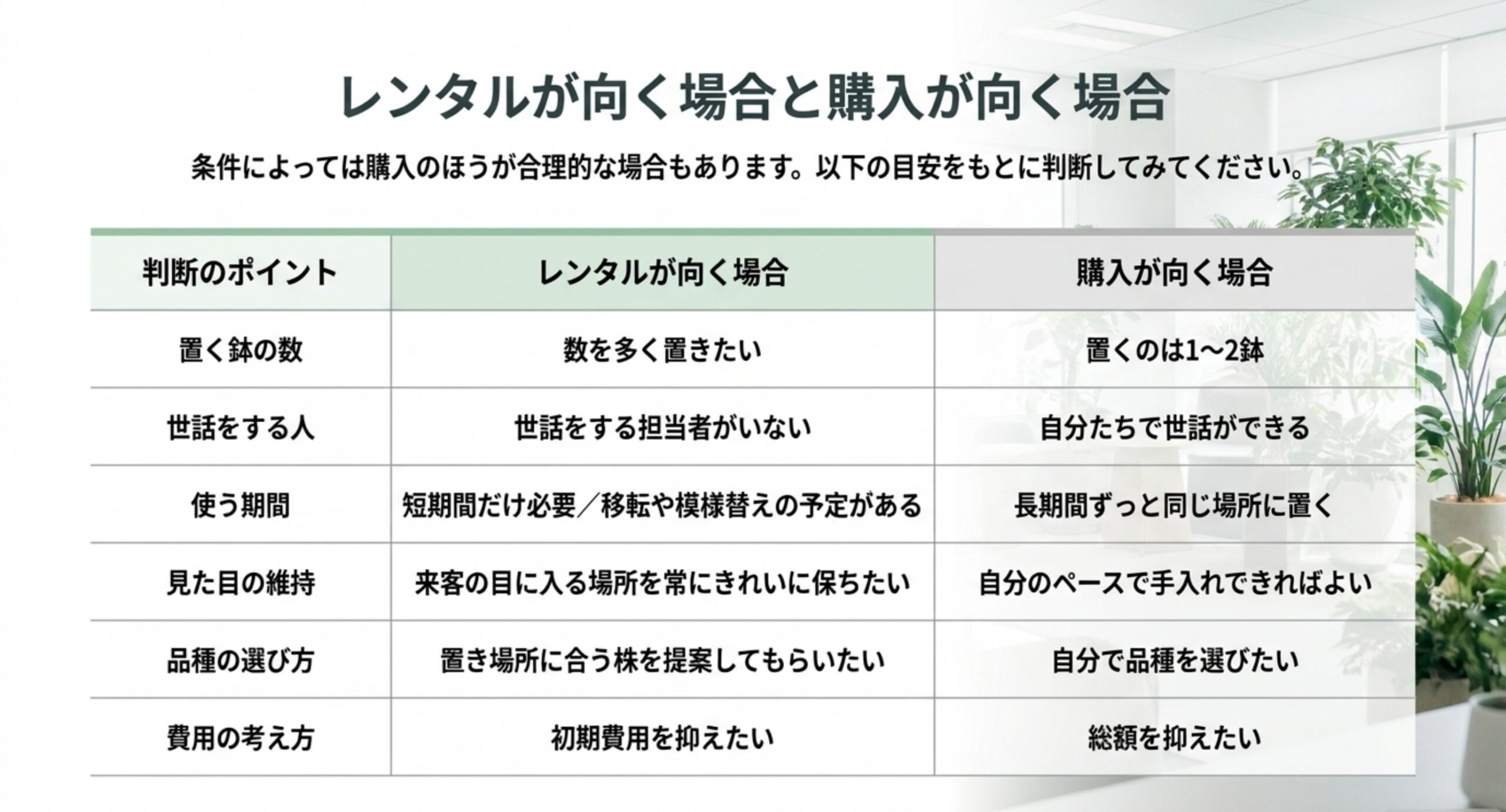 置く鉢の数や世話をする担当者の有無、使う期間などの判断ポイントごとにレンタルと購入のどちらが向くかを並べた比較表のスライド