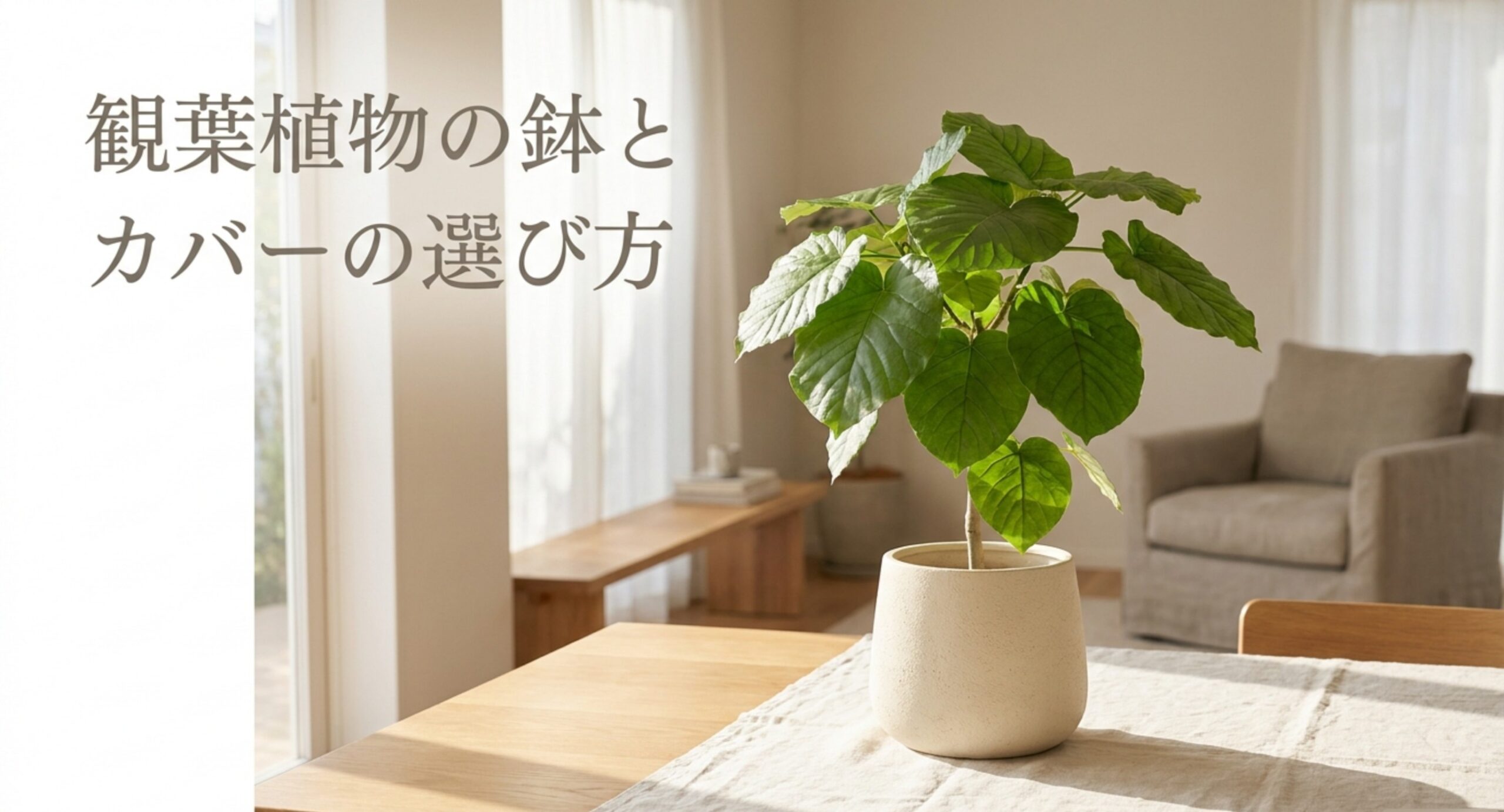 観葉植物の鉢のサイズと選び方｜号数の目安と鉢カバーの合わせ方を整理