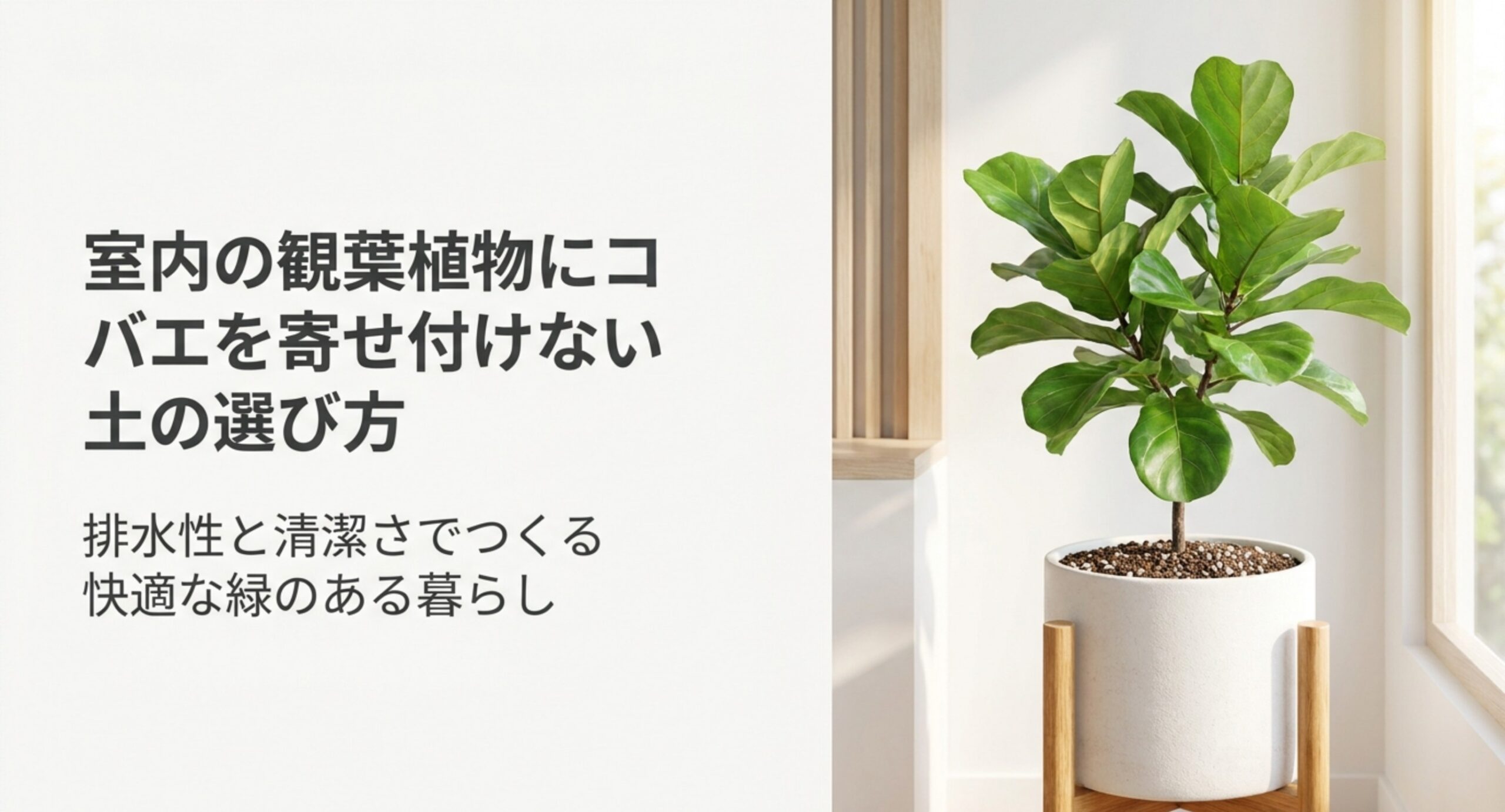 観葉植物の土おすすめ｜虫がわきにくい室内向け配合と市販品の見分け方