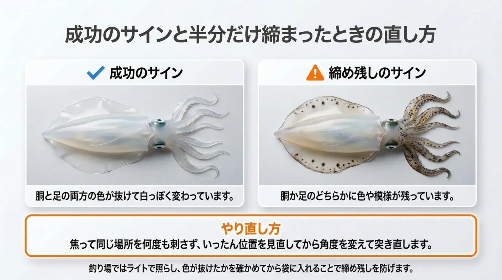 胴と足の色が抜けたアオリイカと、足や縁に模様が残ったアオリイカを並べて締め残しの見分け方を示したスライド