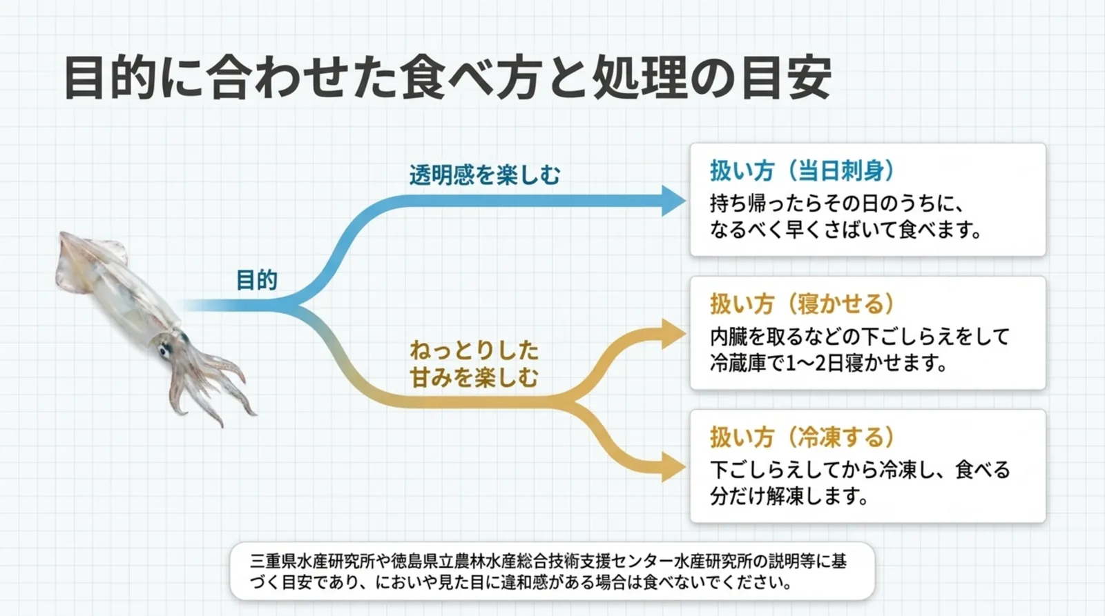 透明感を楽しむ当日の刺身、冷蔵庫で1〜2日寝かせる、冷凍するの3つの扱い方を分岐図で整理したスライド