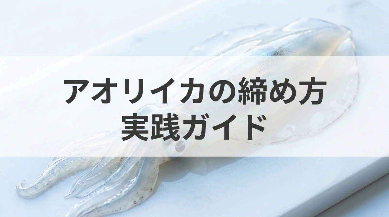 アオリイカの締め方｜目と目の間を突く位置と色の変化・真水を避ける持ち帰り方