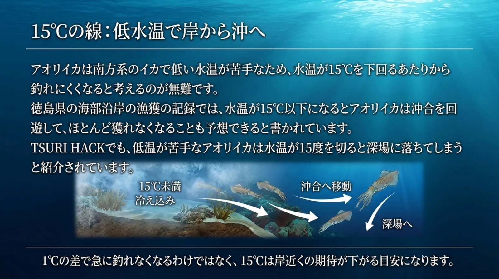 水温が15℃を下回るとアオリイカが岸近くから沖合や深場へ移ることを、徳島県の漁獲の記録と釣り情報で説明したスライド