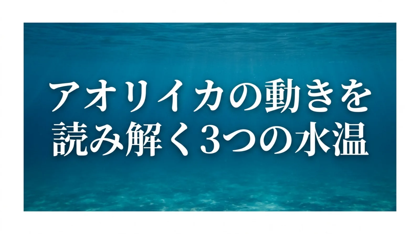 アオリイカの水温の目安｜15℃・20℃・25〜30℃の線と夏の高水温、調べ方