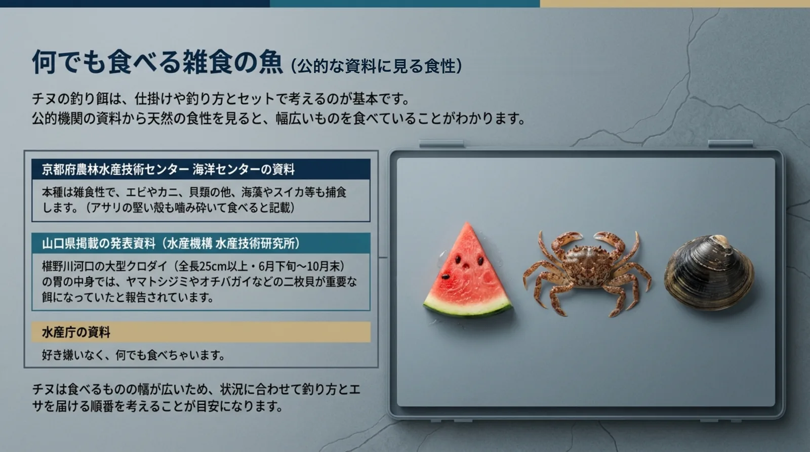 京都府・山口県掲載の資料・水産庁の資料に書かれたチヌの食性をまとめ、スイカ・カニ・貝の写真を並べたスライド