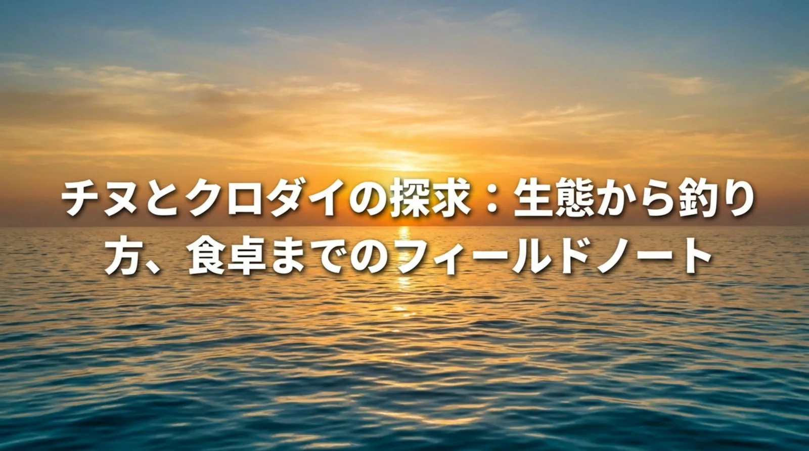 チヌとクロダイの違いは？同じ魚の呼び名とキビレとの見分け方・釣り方・食べ方