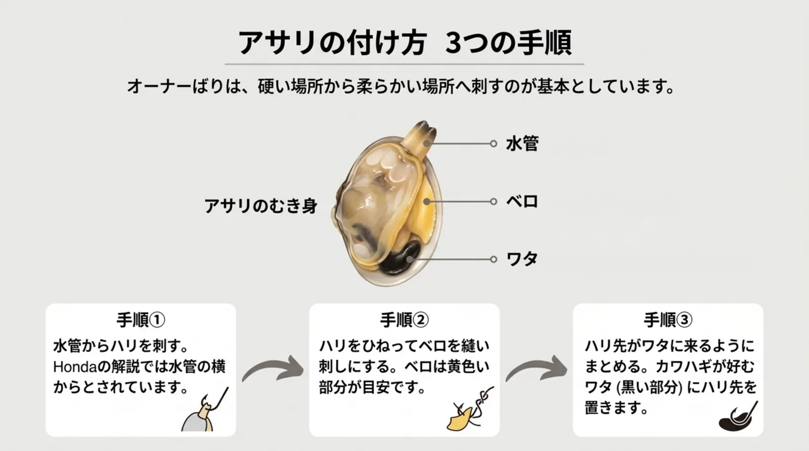 アサリのむき身の水管・ベロ・ワタの位置を示した図と、水管からハリを刺し、ベロを縫い刺しにして、ハリ先をワタに置く3つの手順のスライド