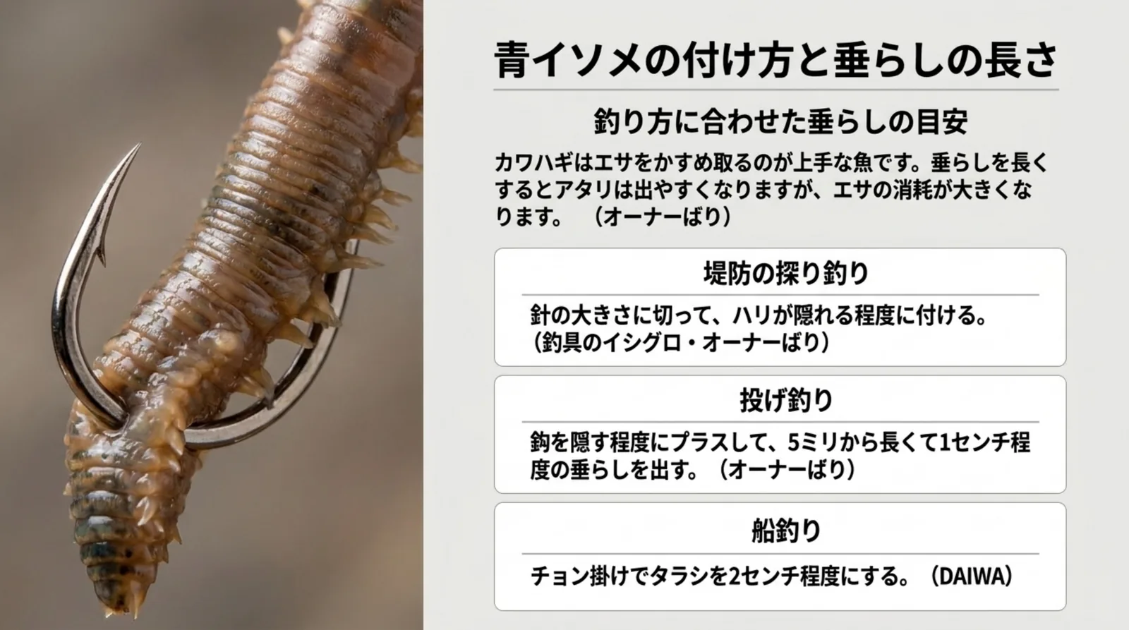 ハリに刺した青イソメの写真と、堤防の探り釣り・投げ釣り・船釣りそれぞれの青イソメの付け方と垂らしの長さの目安を並べたスライド