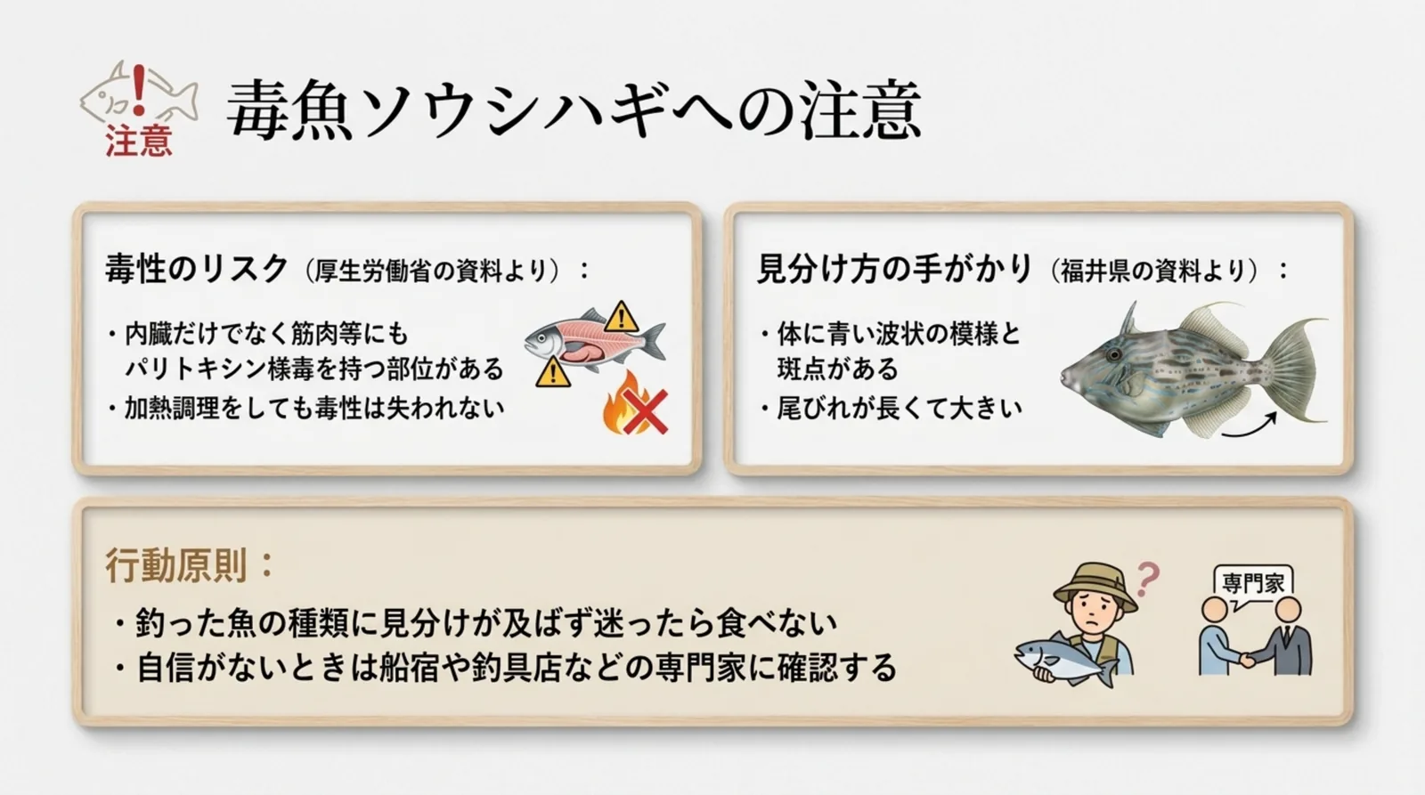 ソウシハギの毒性のリスクと、青い波状の模様や長い尾びれといった見分け方、迷ったら食べず専門家に確認する行動原則をまとめたスライド