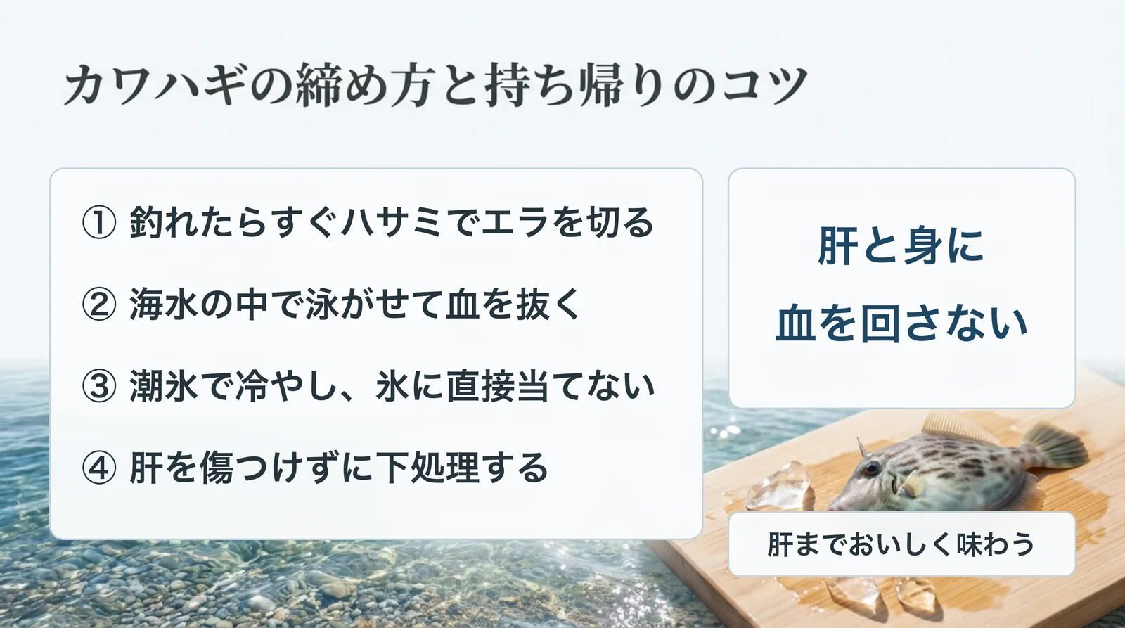 カワハギの締め方｜ハサミでエラを切る血抜き・脳締めと肝を守る持ち帰り方