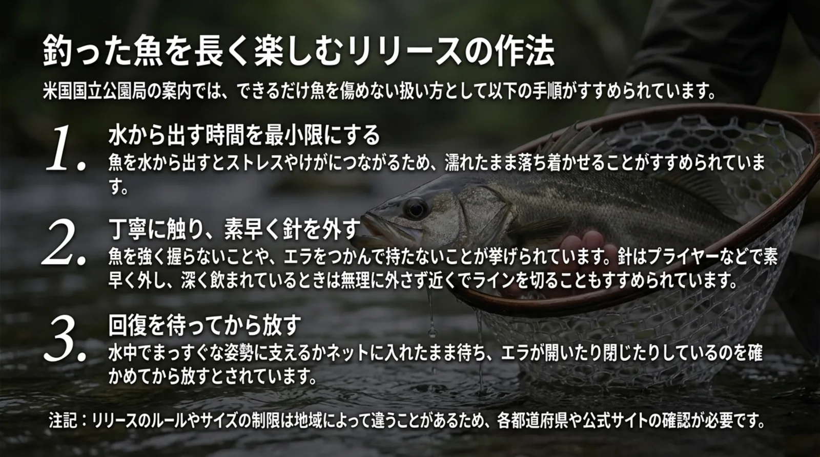 水から出す時間を最小限にする、丁寧に触り素早く針を外す、回復を待ってから放すの3つの手順をまとめたスライド