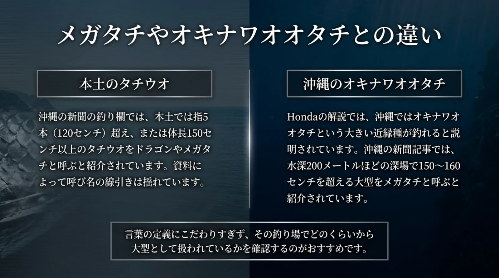 本土のタチウオと沖縄のオキナワオオタチを左右に分け、ドラゴンとメガタチの呼び名の線引きが資料で揺れていることを説明したスライド