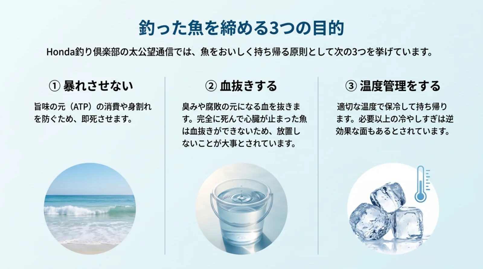 暴れさせない・血抜きする・温度管理をするという魚を締める3つの目的を並べたスライド