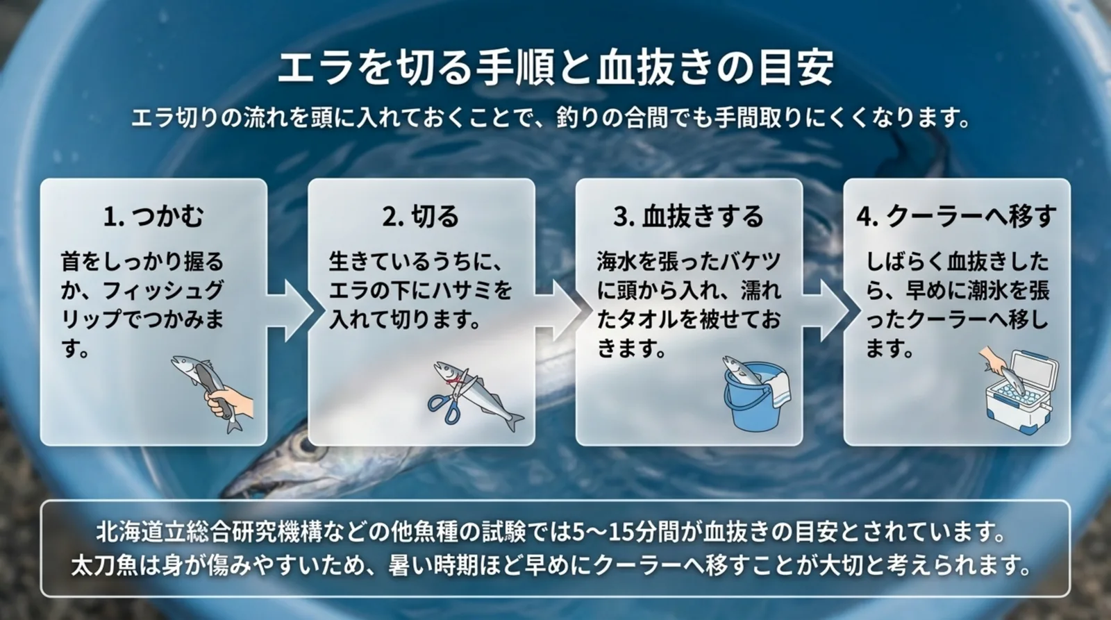つかむ・エラの下を切る・海水のバケツで血抜き・潮氷のクーラーへ移すという4段階の手順を示したスライド