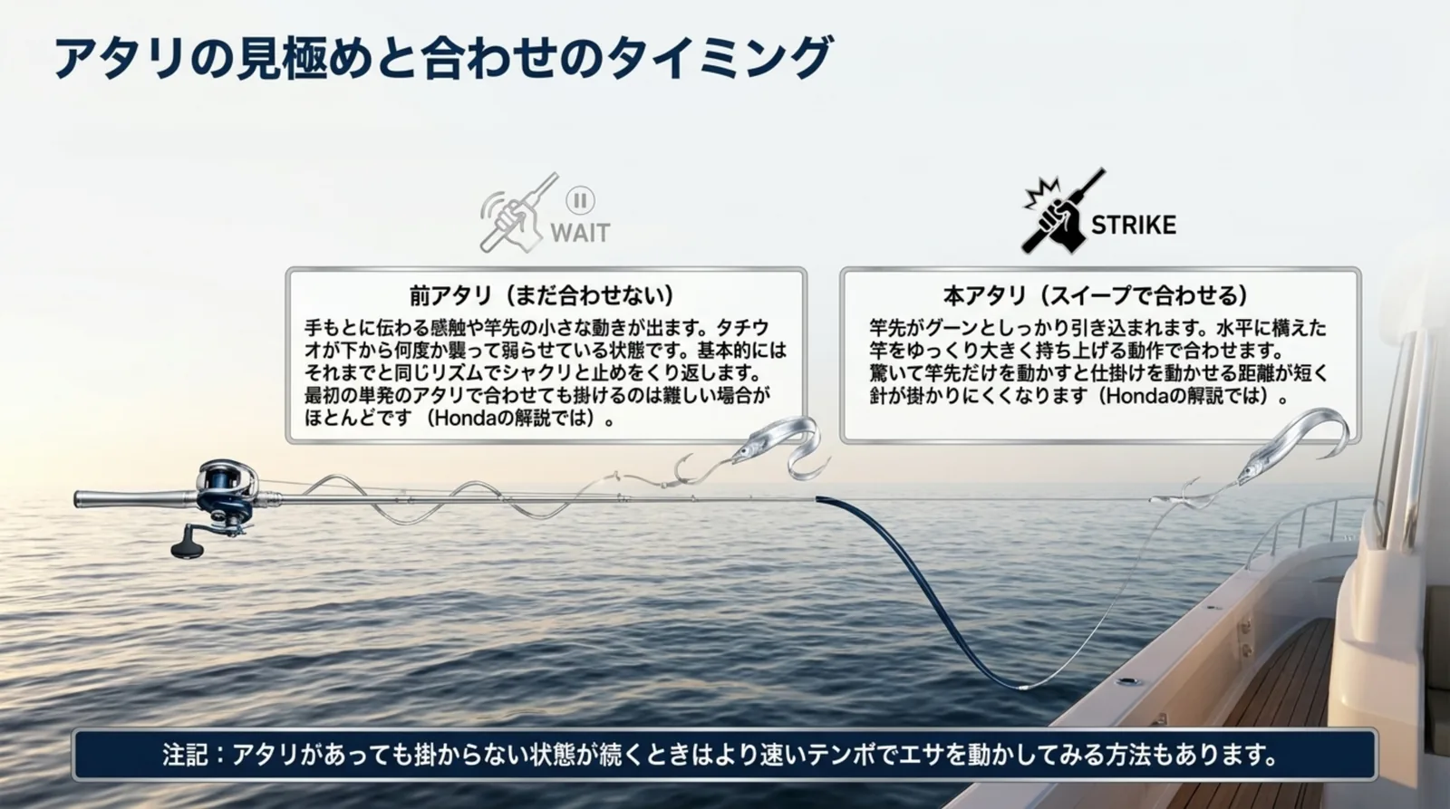 前アタリでは合わせずに誘いを続け、竿先が引き込まれる本アタリでゆっくり大きく合わせる流れを示したスライド