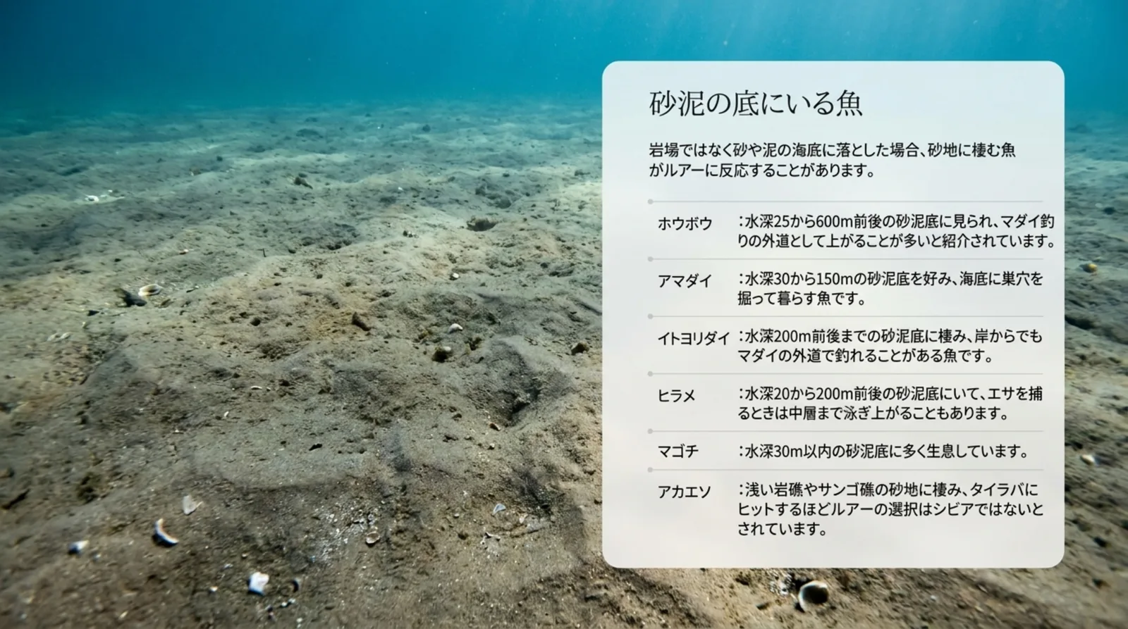 ホウボウ・アマダイ・イトヨリダイ・ヒラメ・マゴチ・アカエソの生息水深と特徴をまとめたスライド