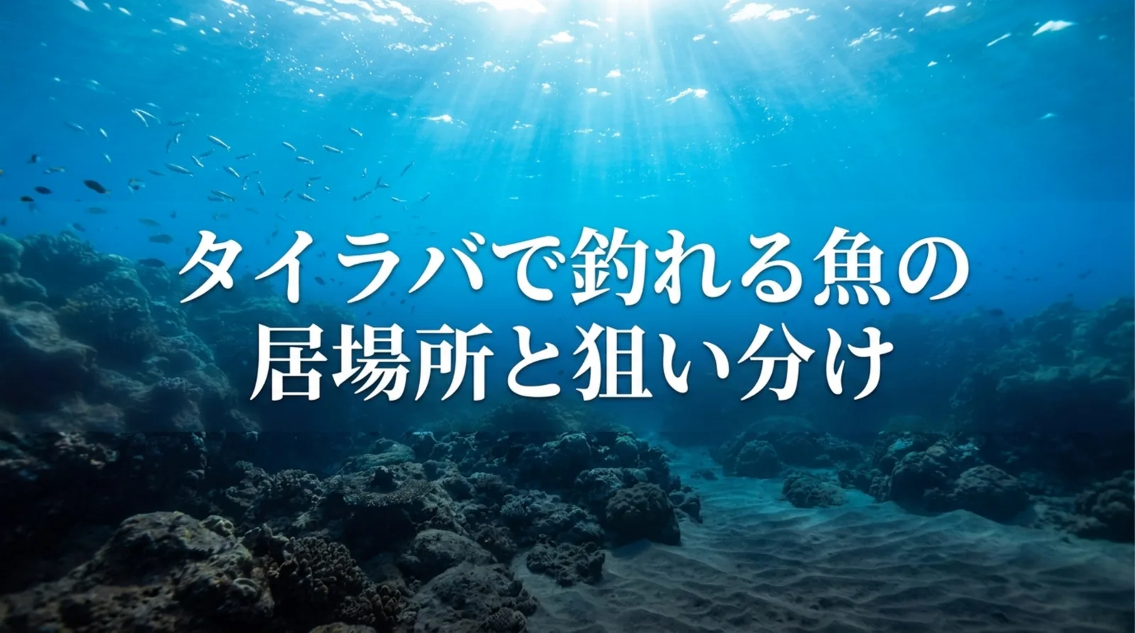 タイラバで釣れる魚一覧｜マダイ以外のハタ・ホウボウ・青物と毒魚、全長制限